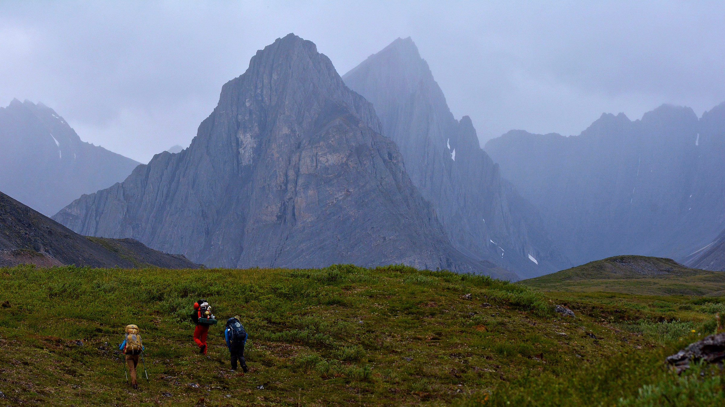Detail view in Gates of the Arctic National Park