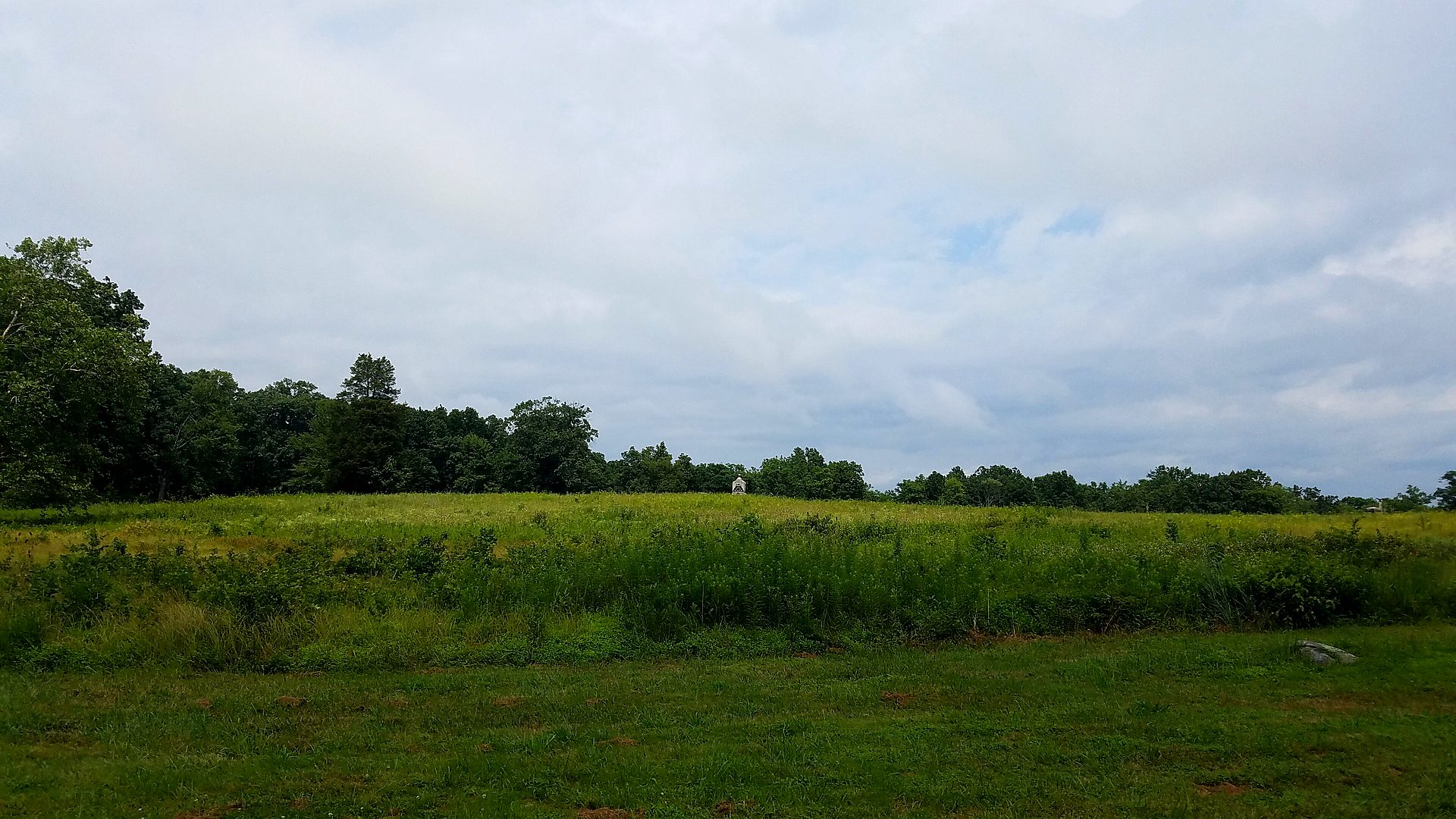 Gettysburg Wheatfield