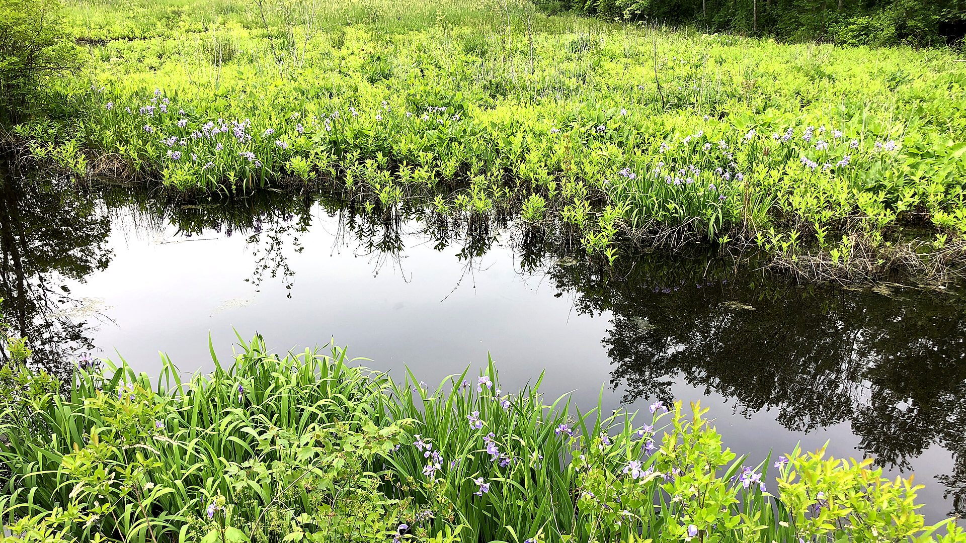 New Jersey scenic river