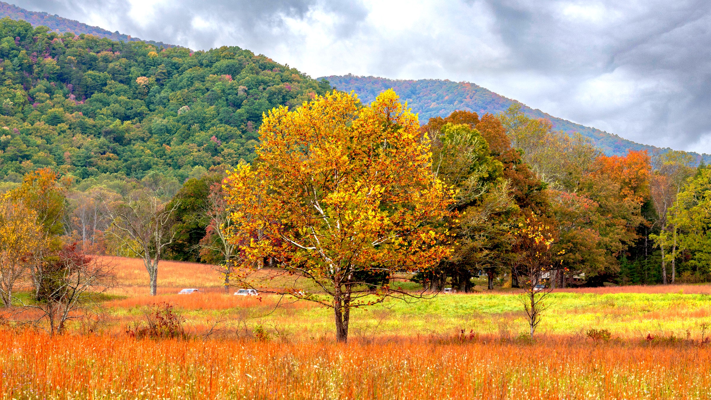 Vibrant fall foliage in Great Smoky Mountains National Park