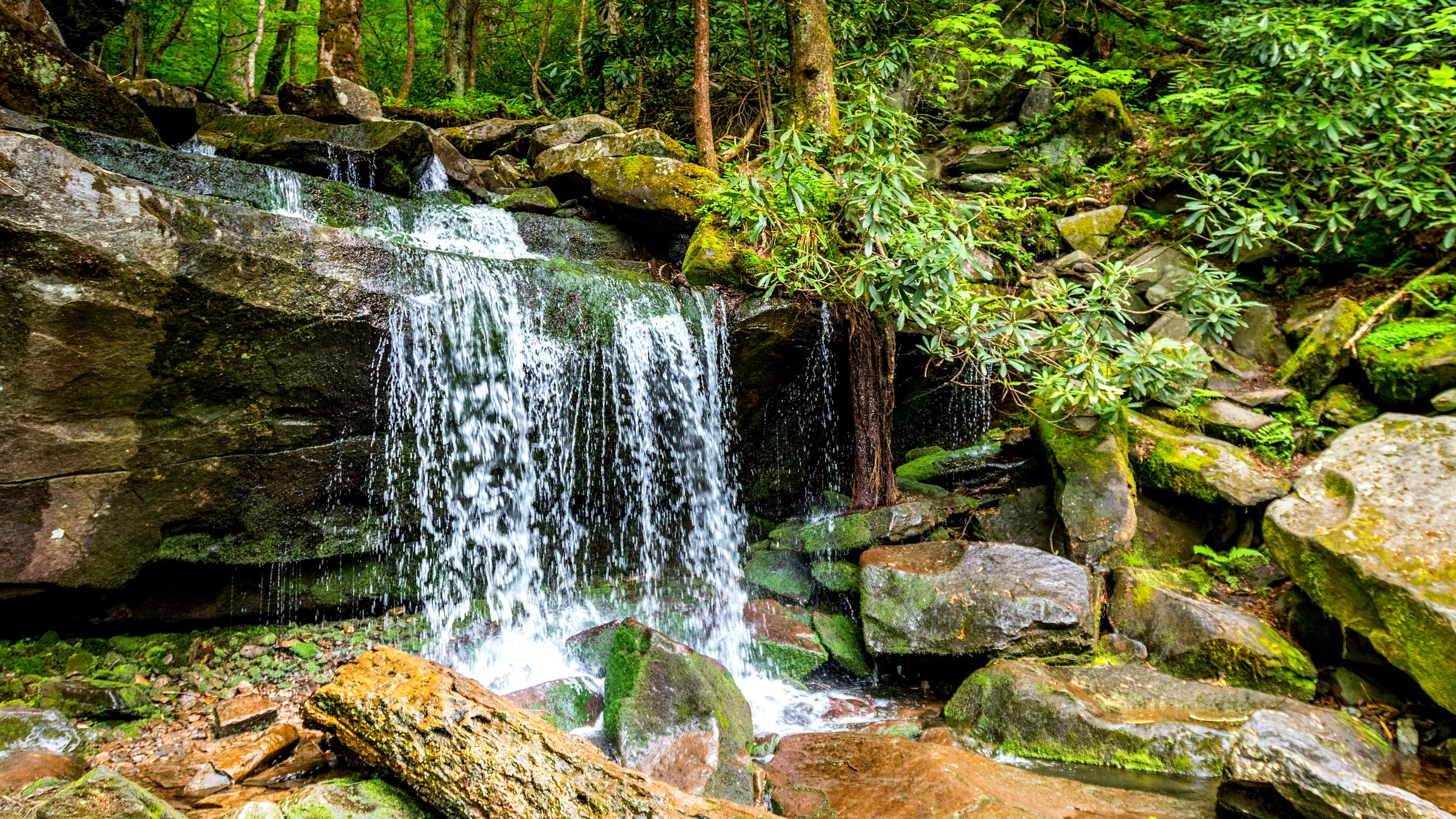 Rainbow Falls waterfall and forest on a hike in the Great Smoky Mountains
