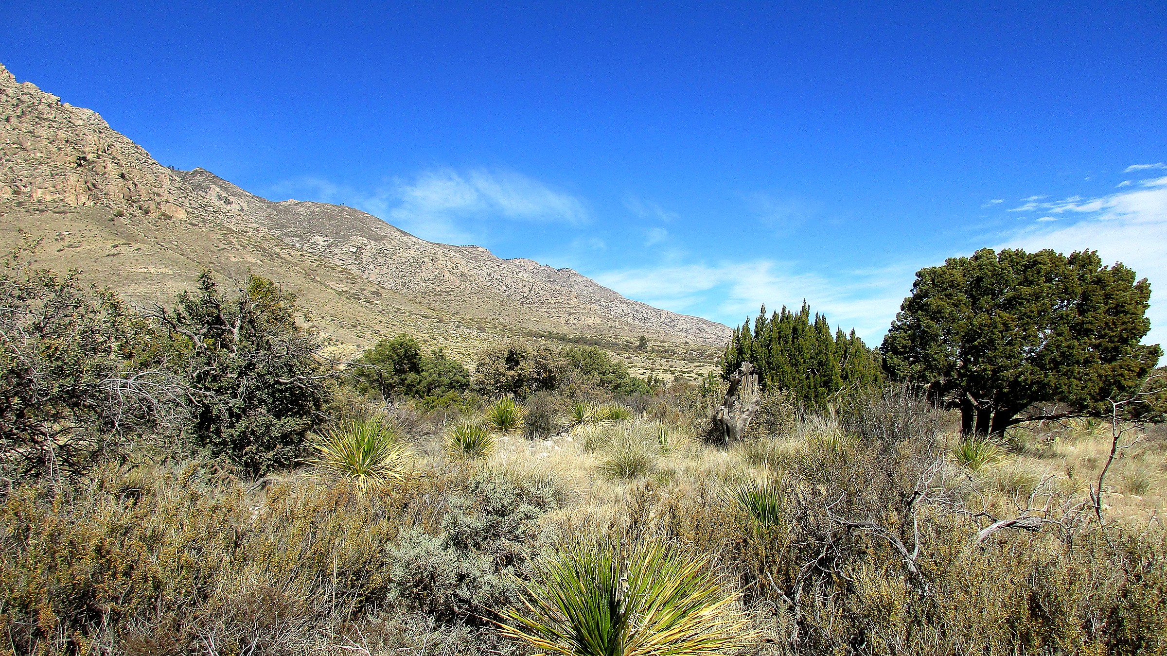 Highest peak in Texas above Chihuahuan Desert at Guadalupe Mountains National Park