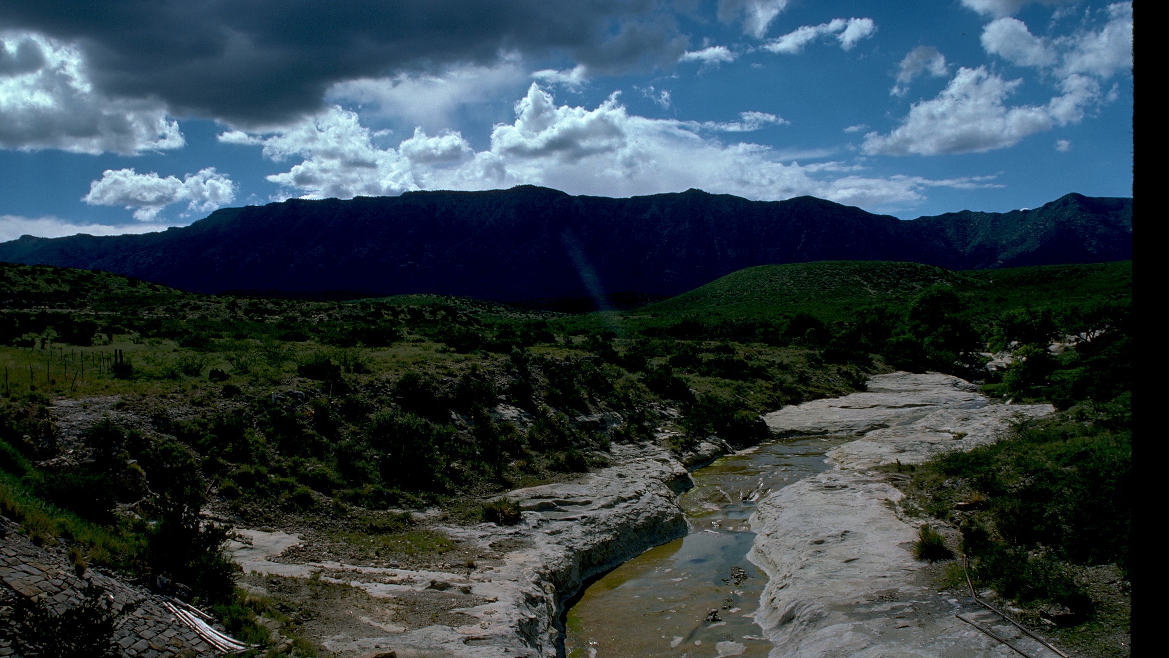 Detail view in Guadalupe Mountains National Park