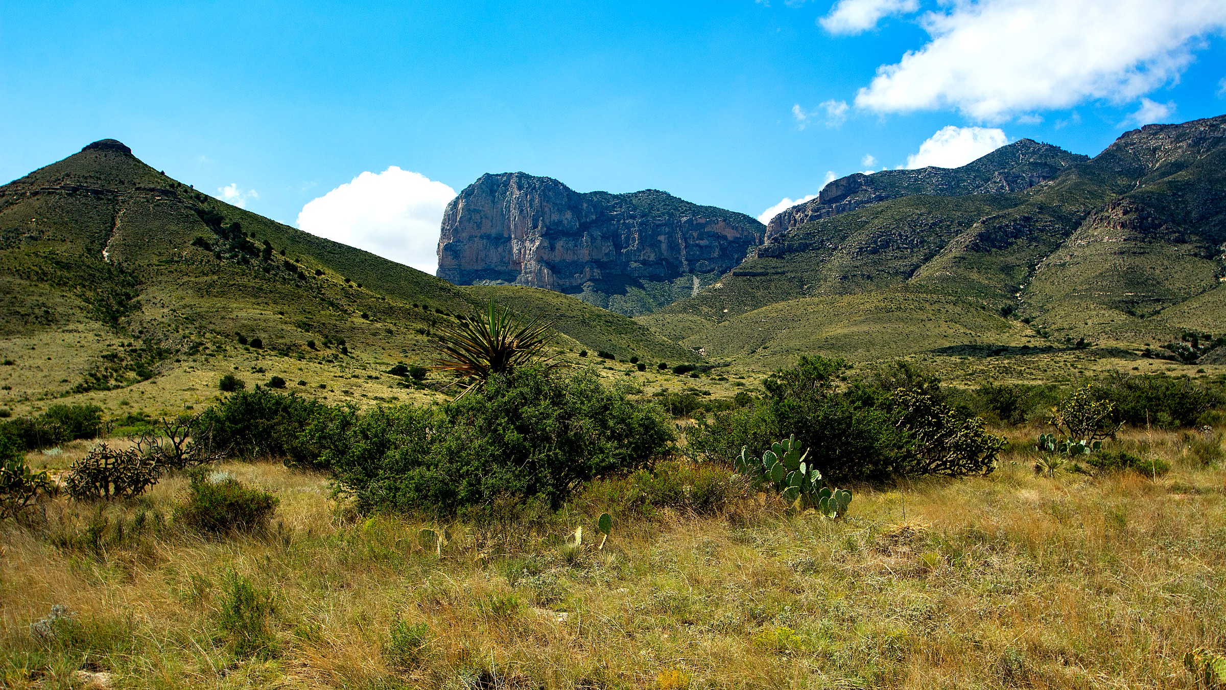 Guadalupe Mountains National Park landscape