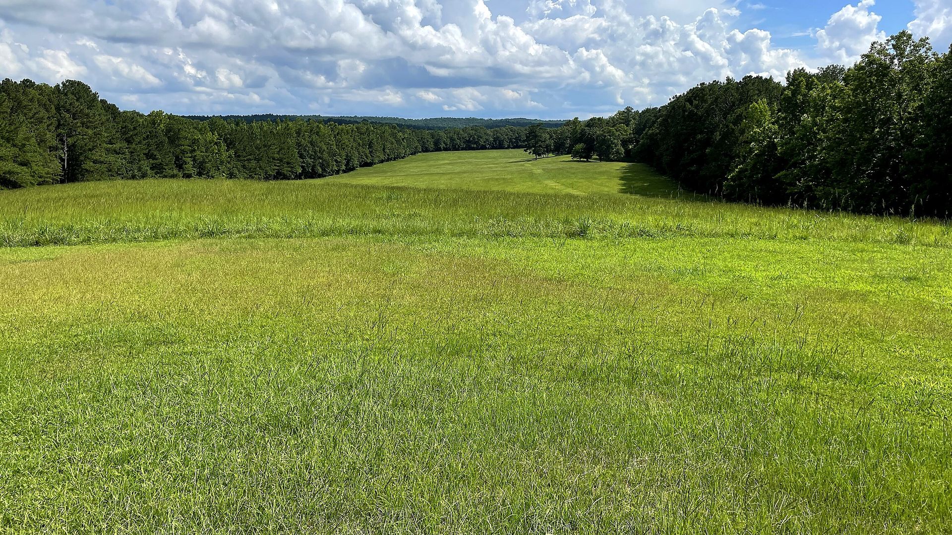 Horseshoe Bend National Military Park landscape