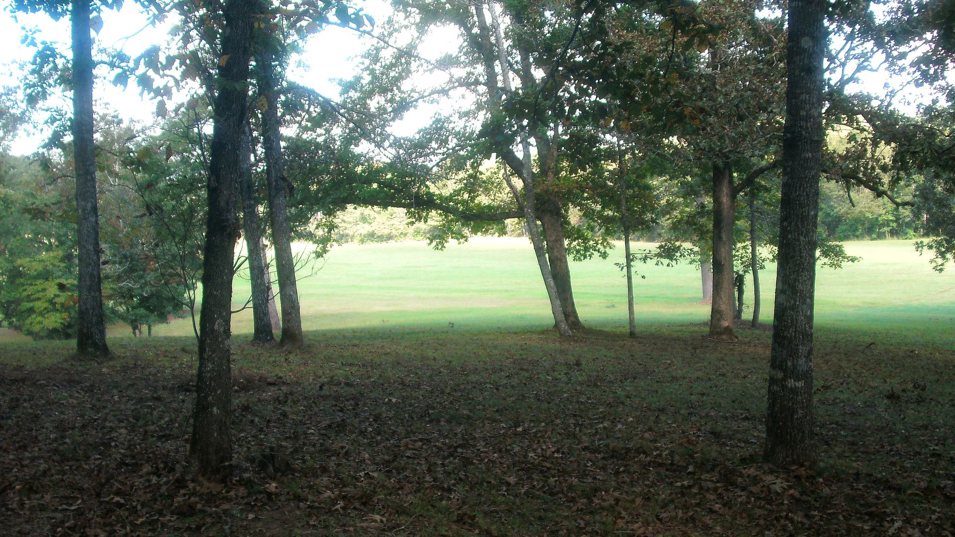 Safety context at Horseshoe Bend National Military Park