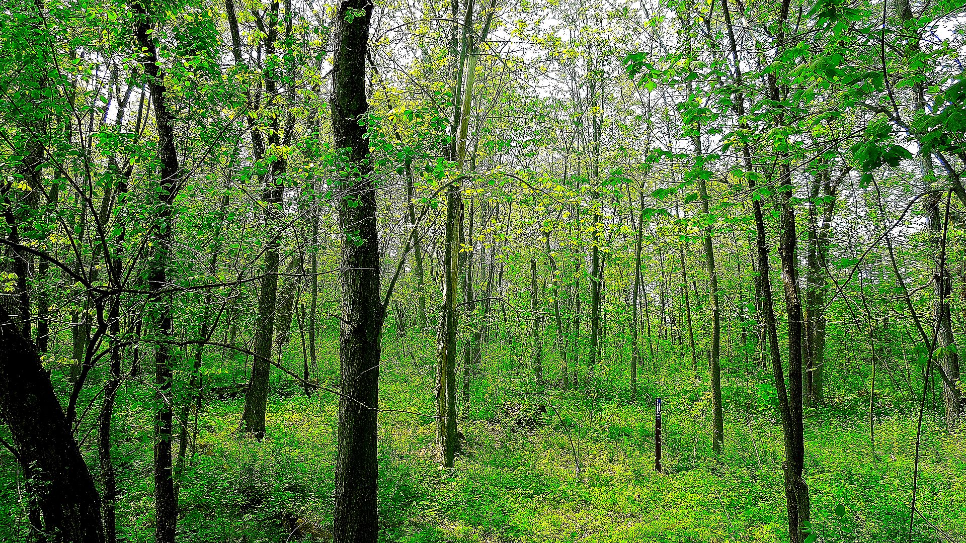 Wisconsin glacial trail