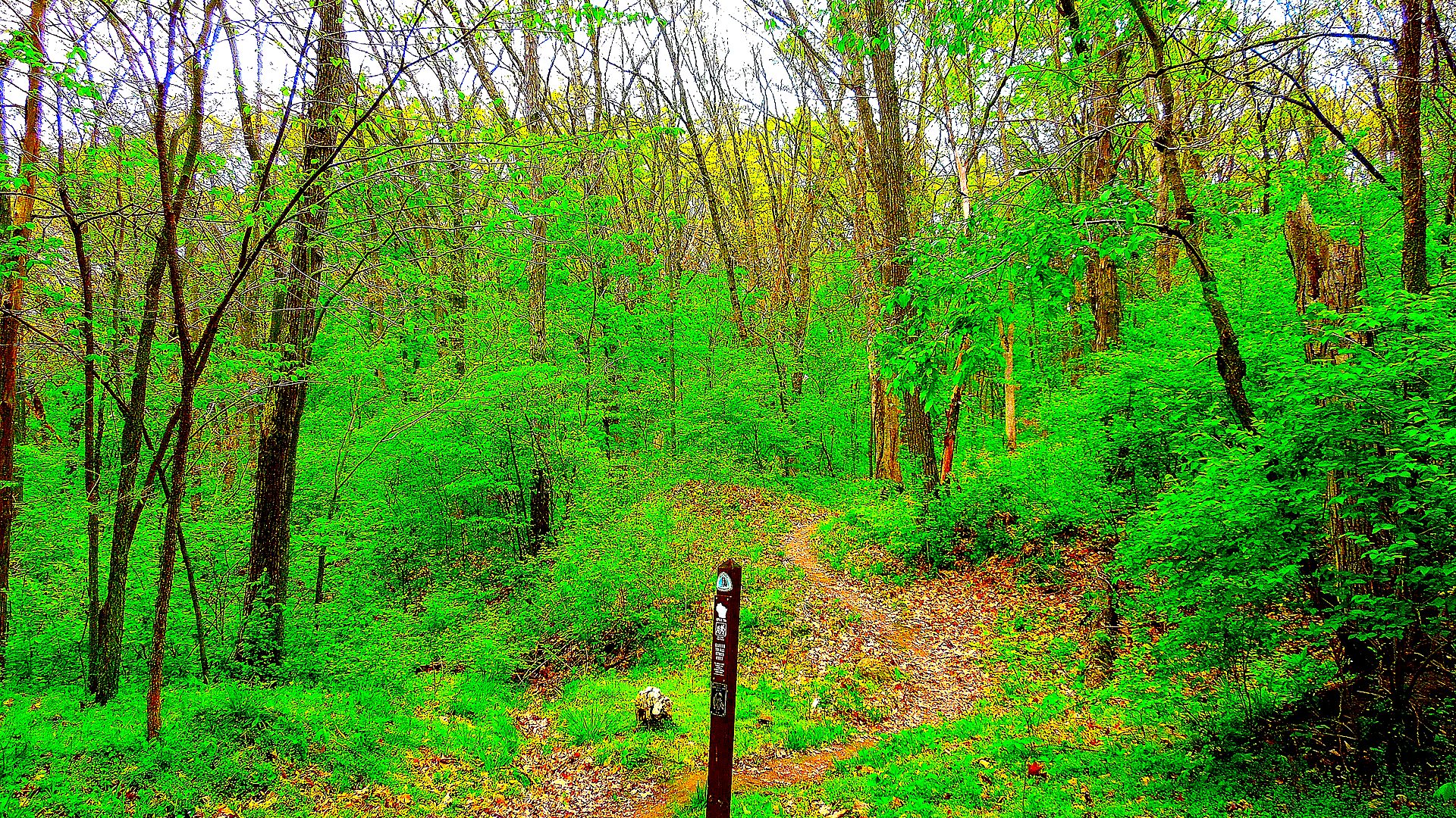 Ice Age National Scenic Trail primary landscape