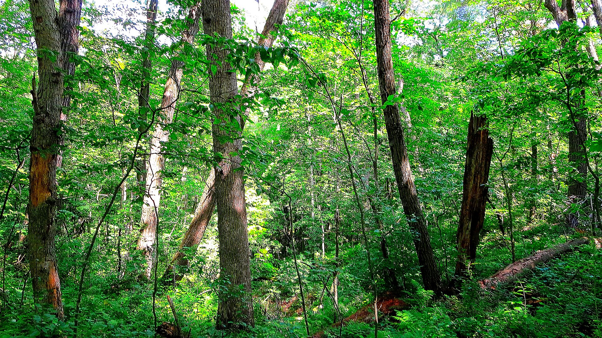 Visitor timing context at Ice Age National Scenic Trail