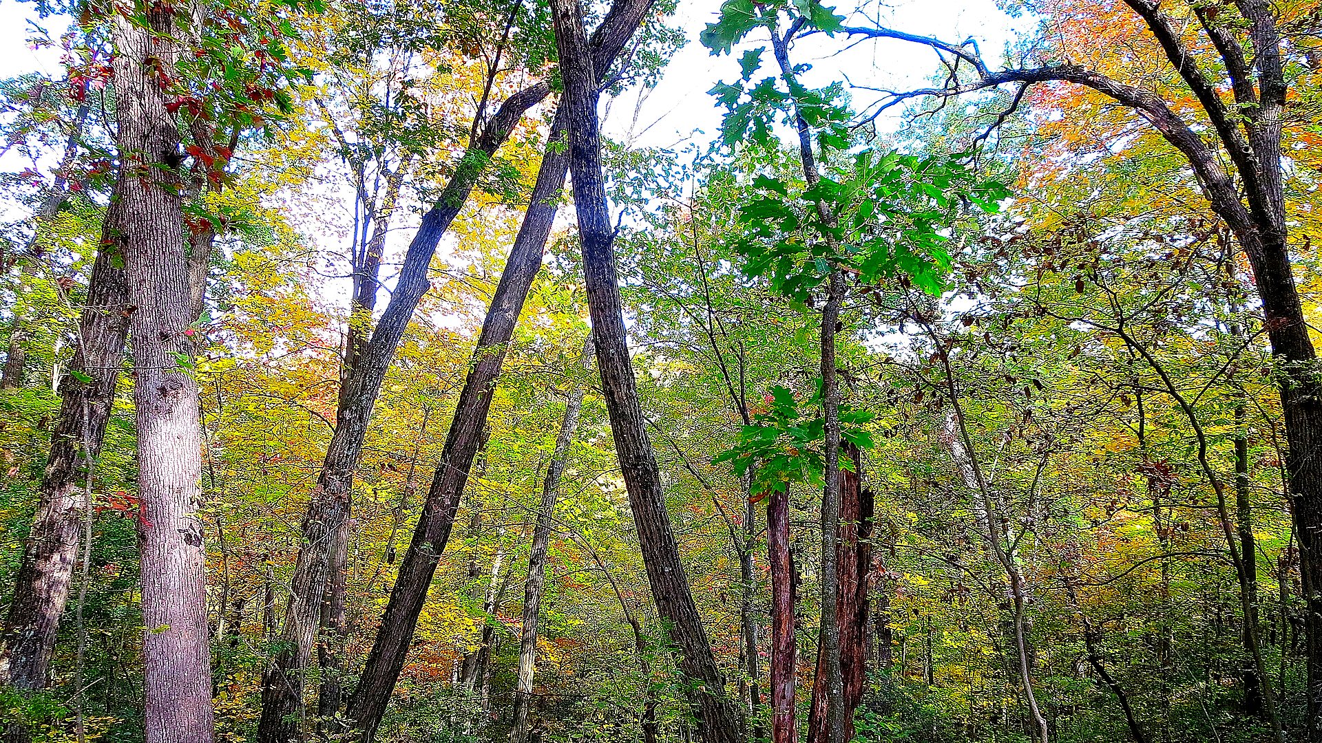 Safety context at Ice Age National Scenic Trail