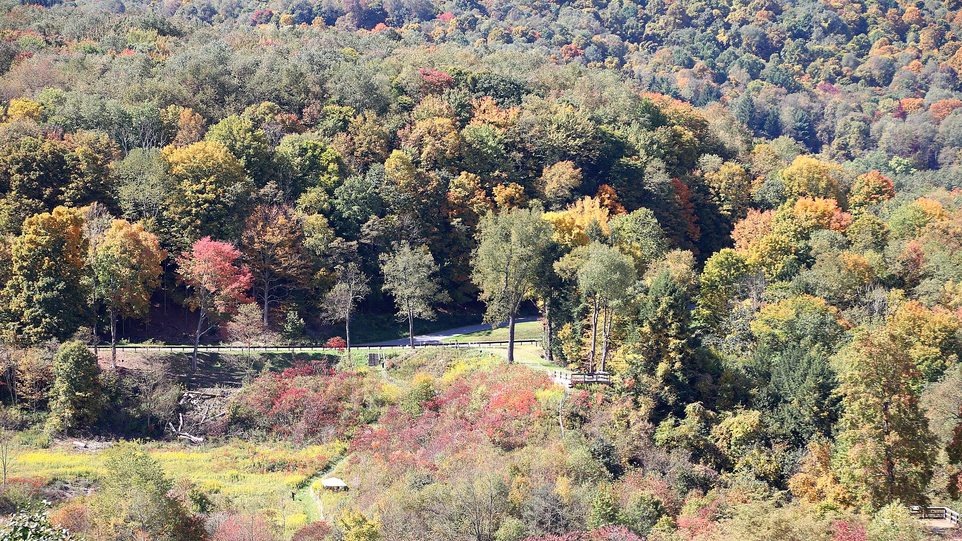 Hill forest path