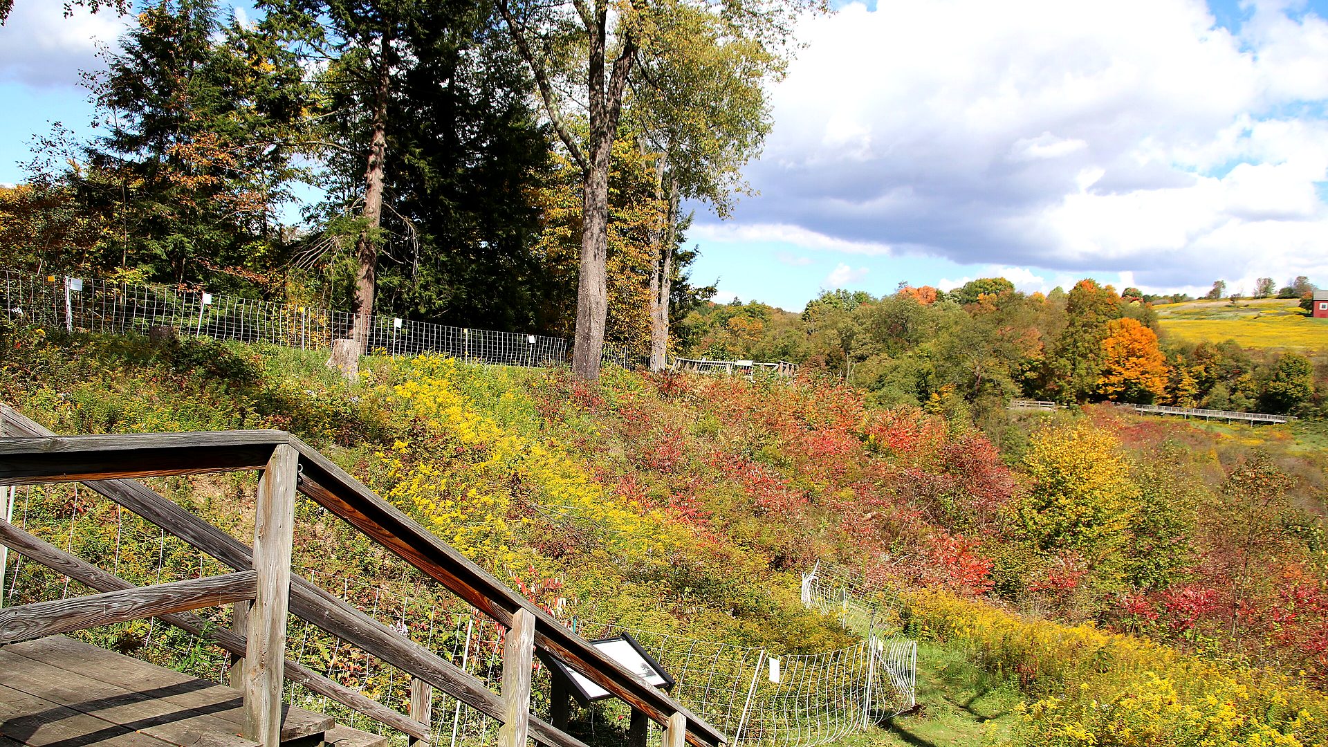 Johnstown Flood National Memorial landscape