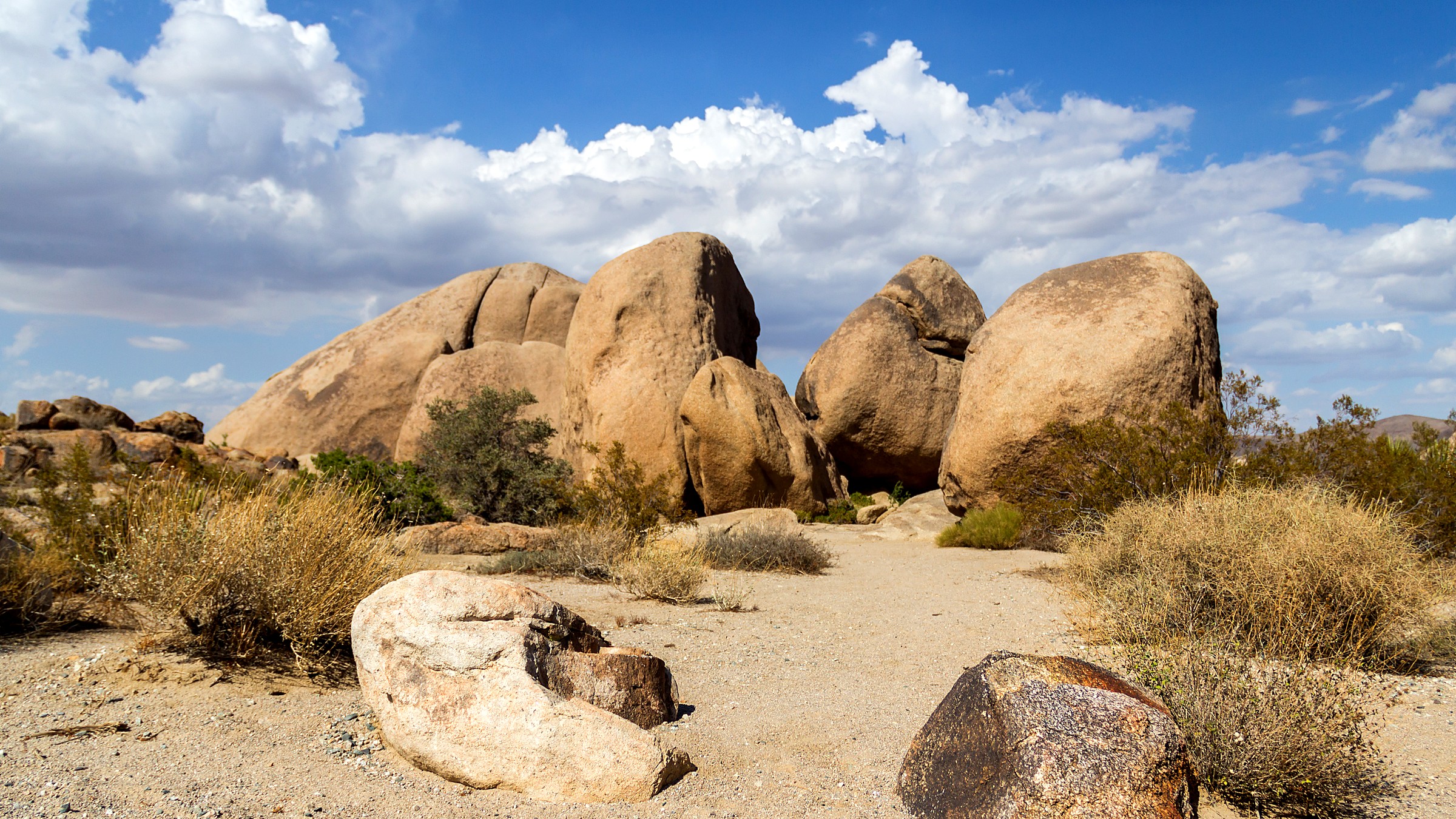 Landscape view in Joshua Tree National Park