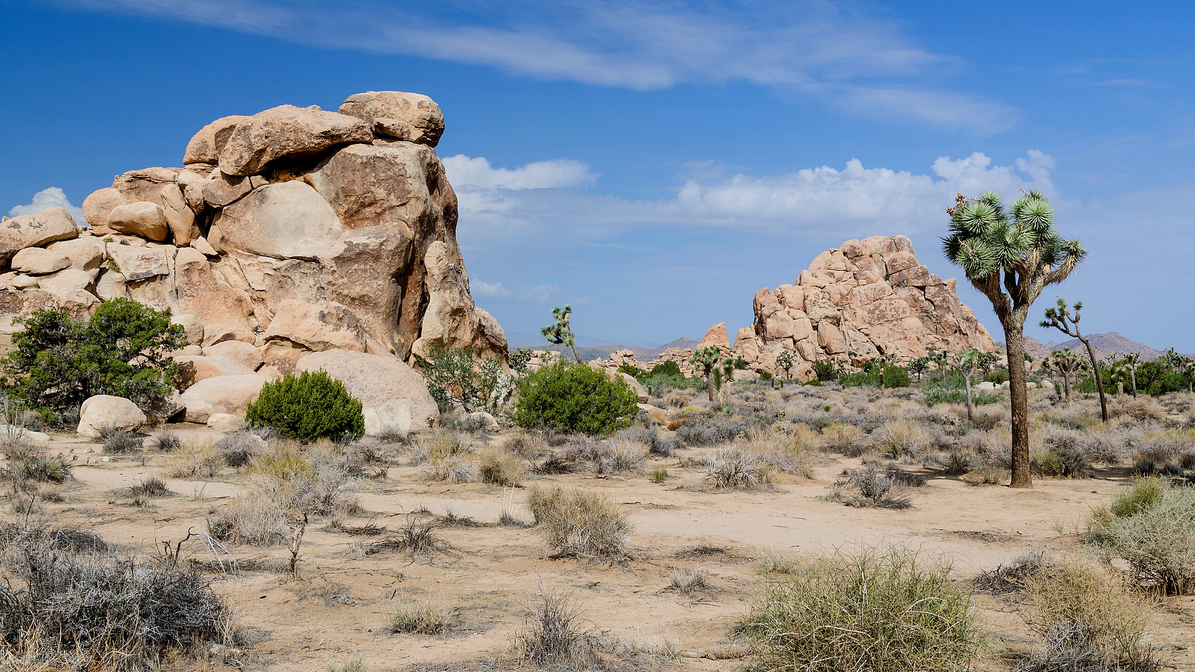 Hidden Valley in Joshua Tree National Park