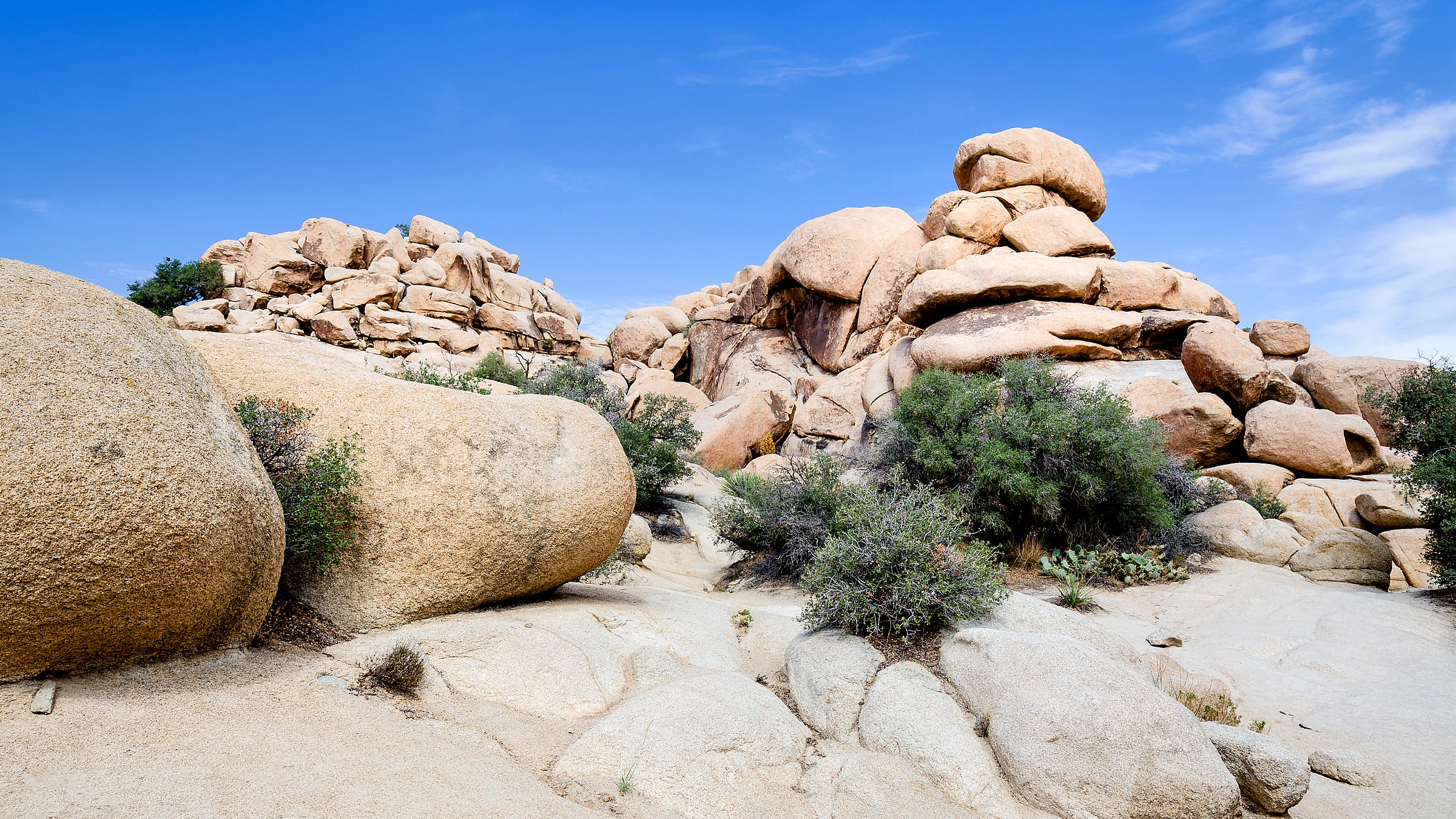 Keys View in Joshua Tree National Park