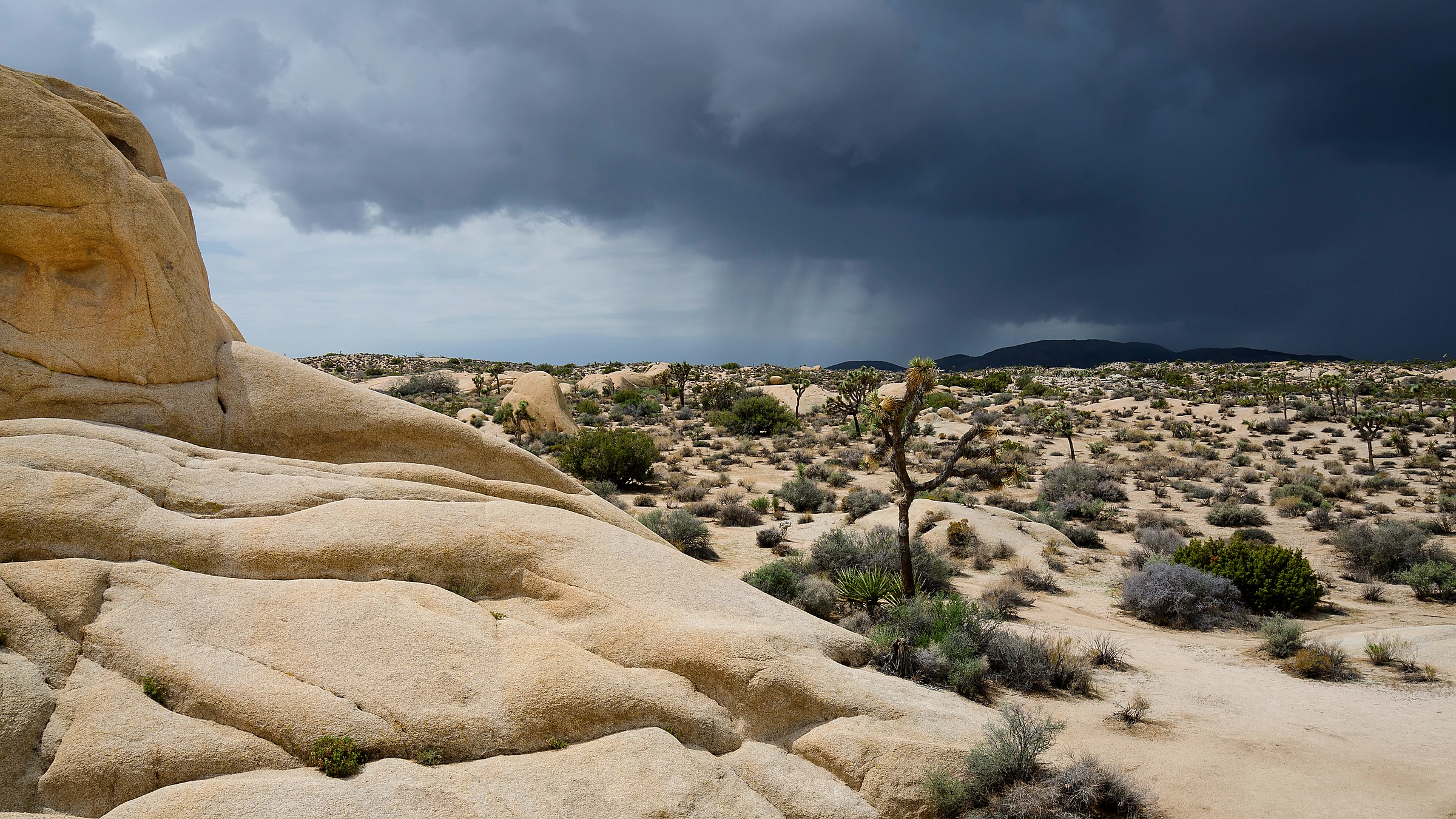 Trail and landscape conditions in Joshua Tree National Park