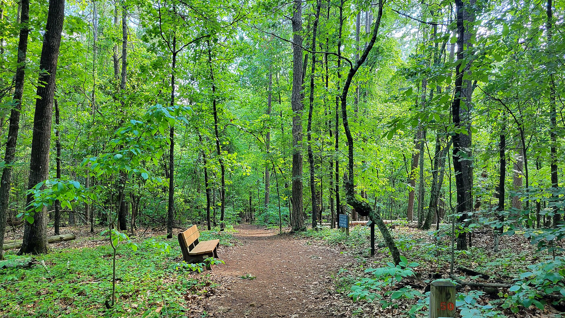 Kennesaw Mountain National Battlefield Park landscape