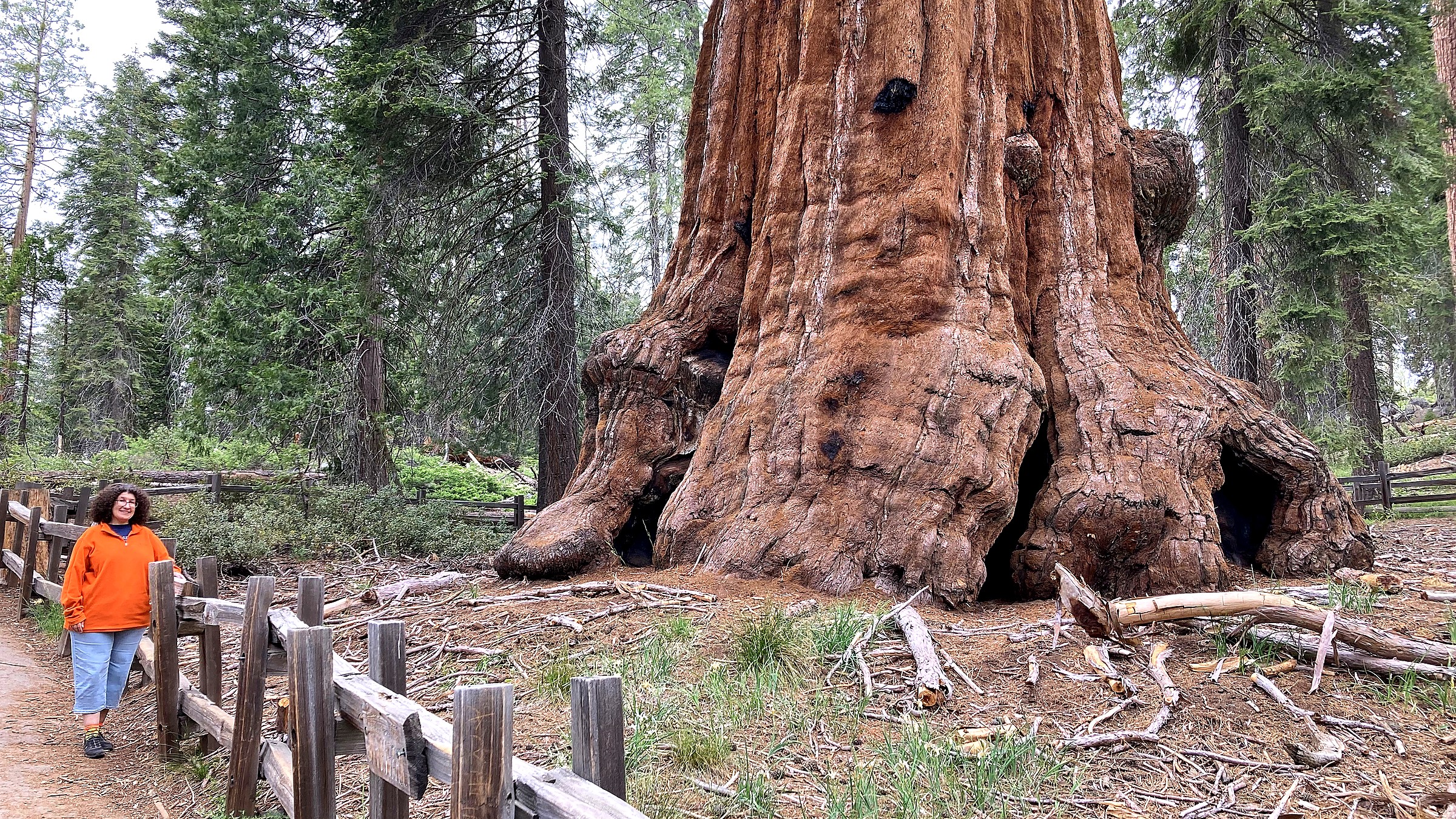 Landscape view in Kings Canyon National Park