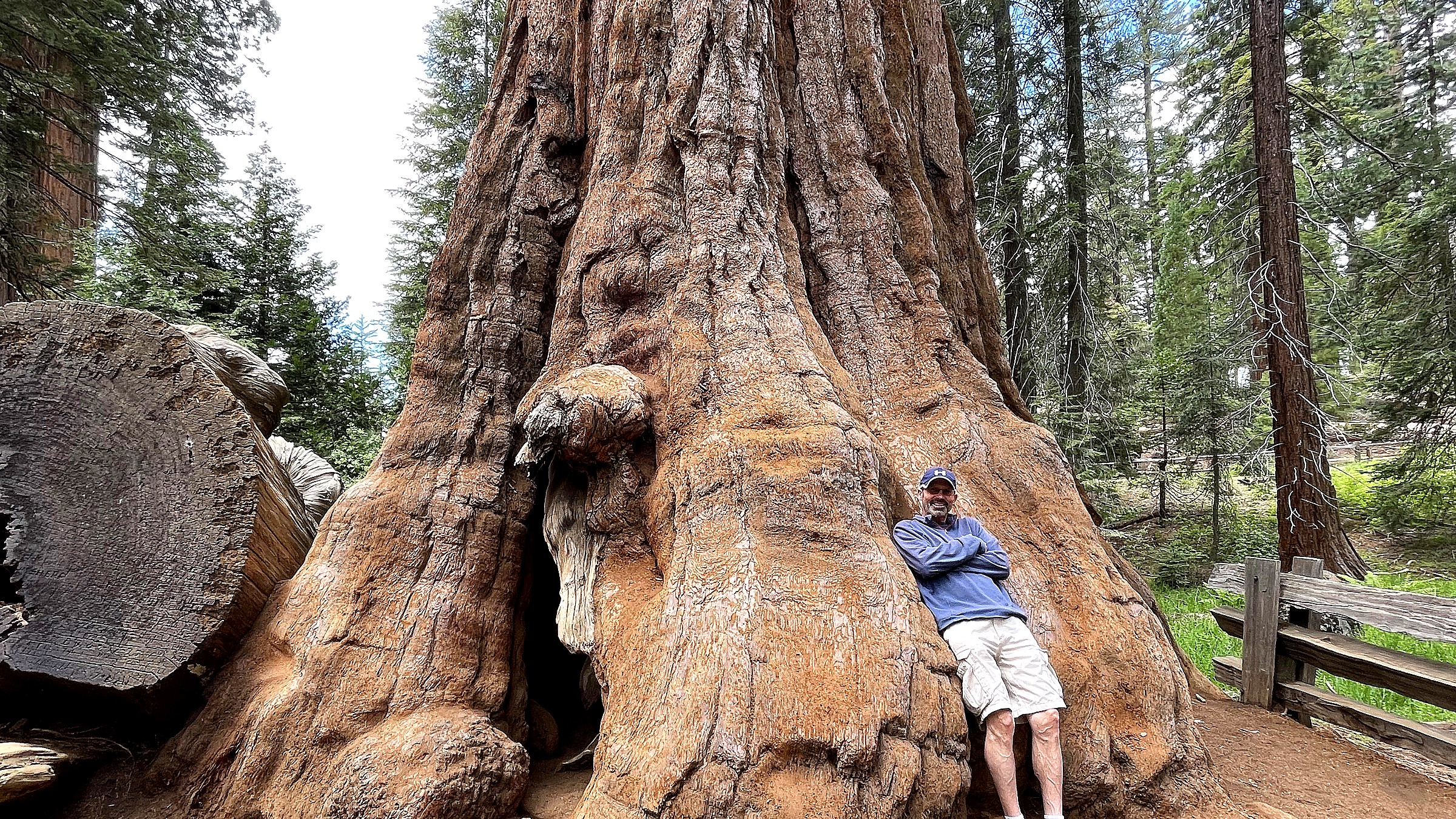 Detail view in Kings Canyon National Park