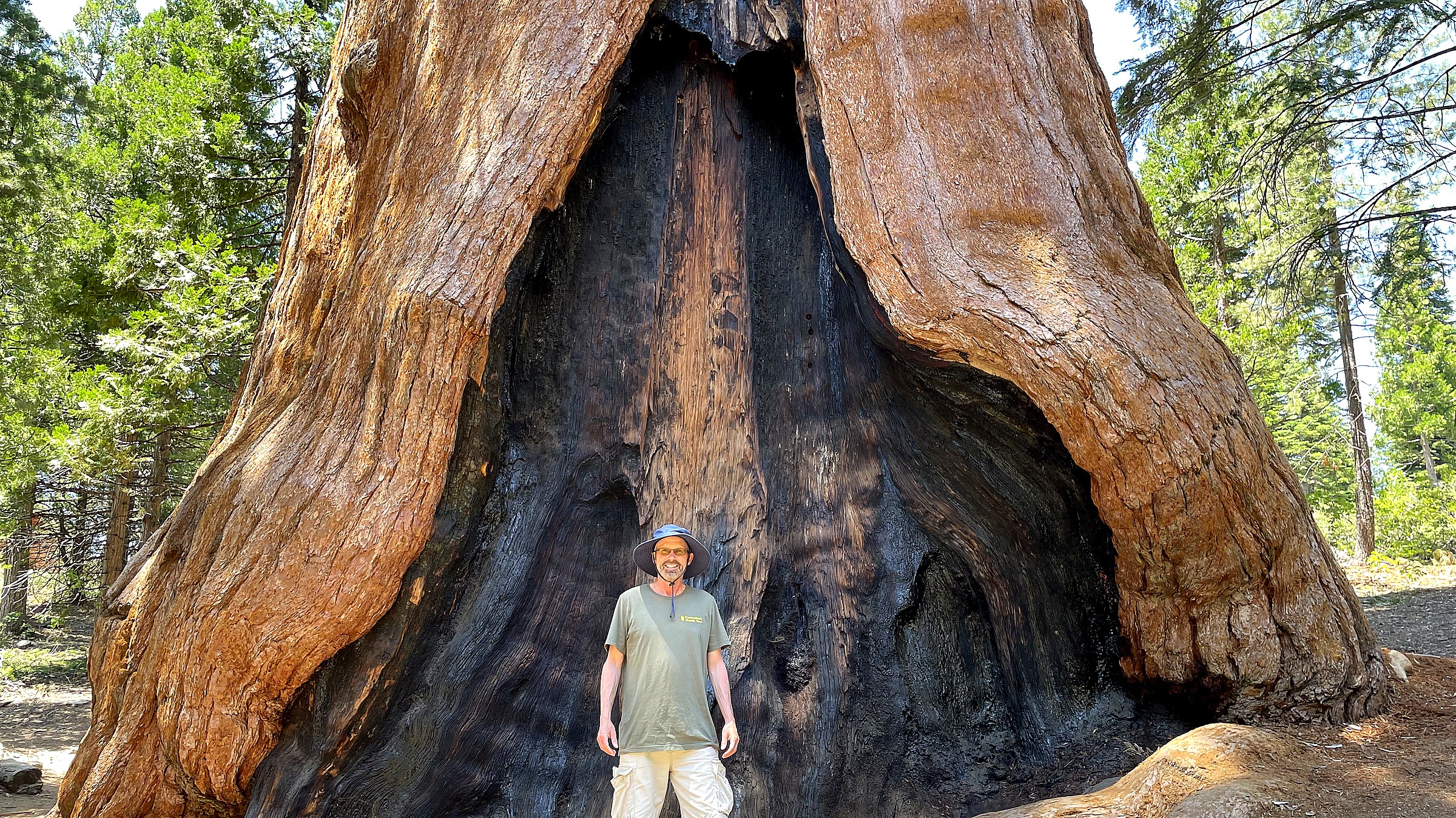 Grant Grove in Kings Canyon National Park