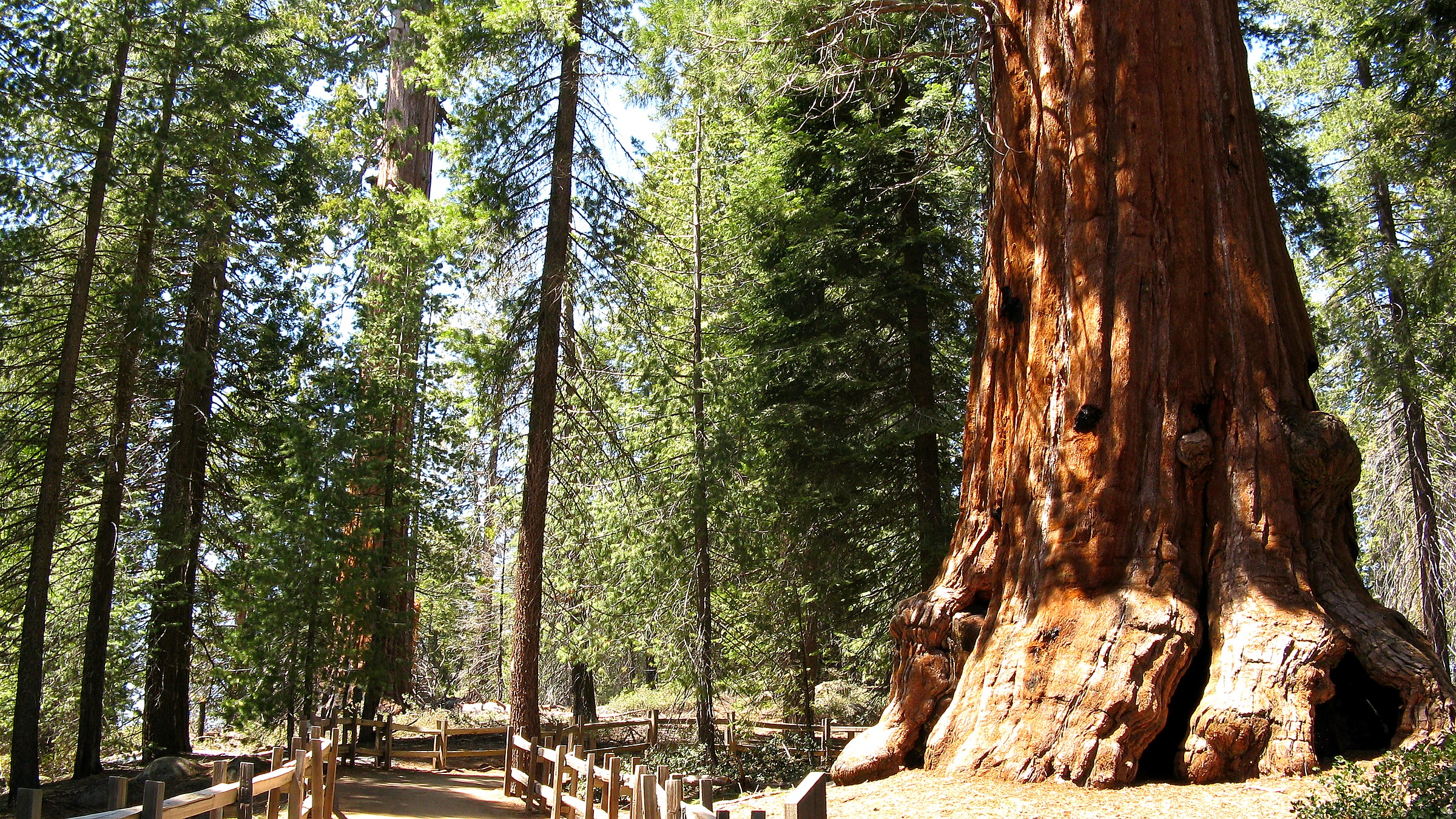 Cedar Grove in Kings Canyon National Park