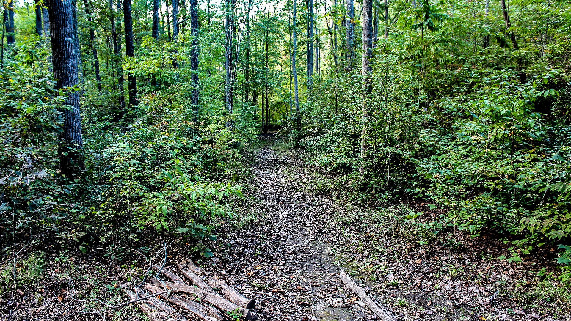 Kings Mountain National Military Park landscape