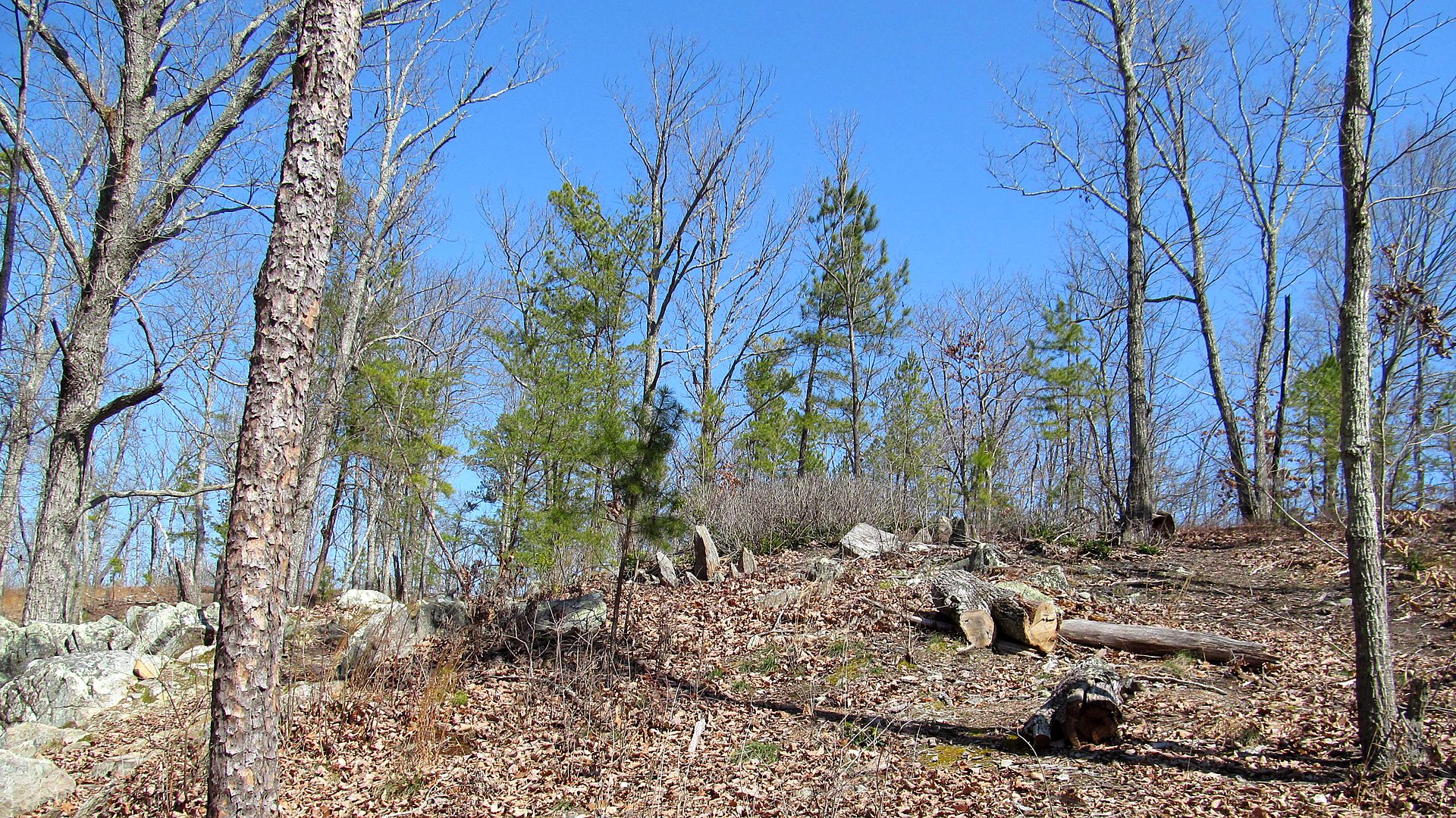 Kings Mountain National Military Park primary landscape