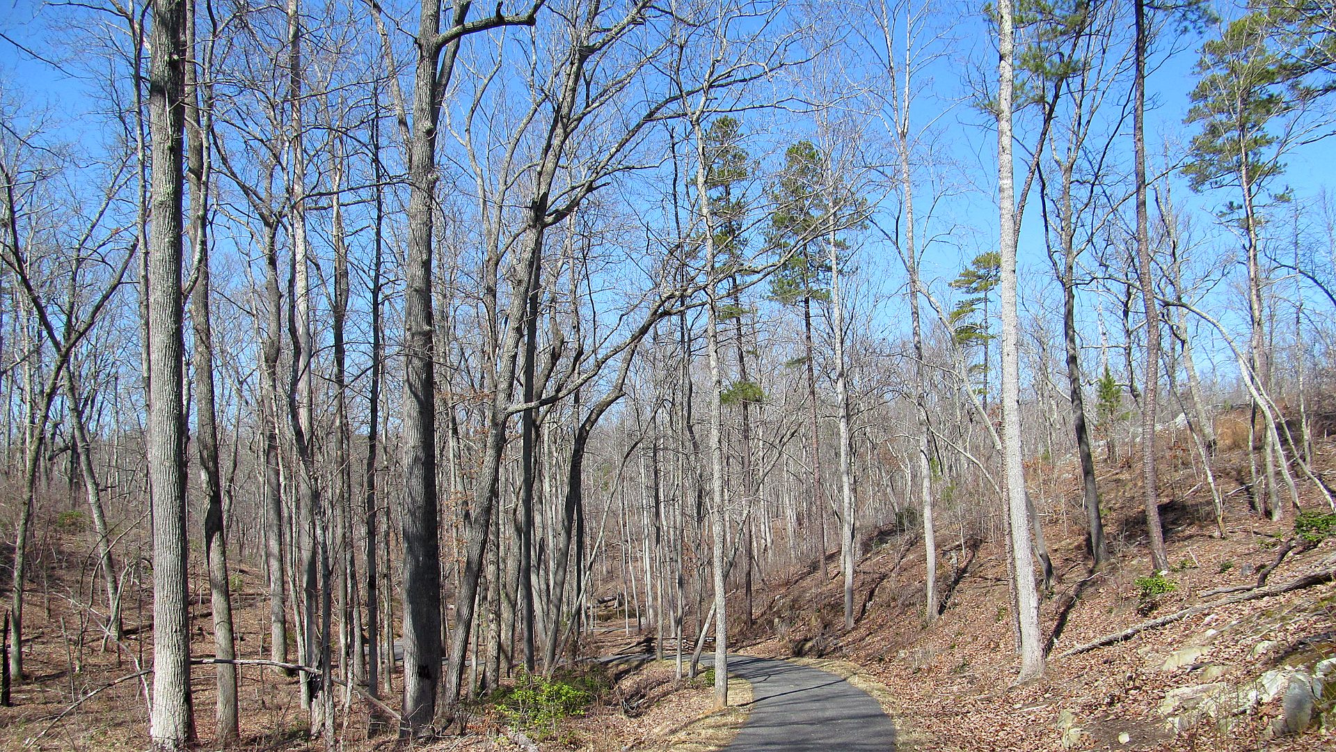 Safety context at Kings Mountain National Military Park