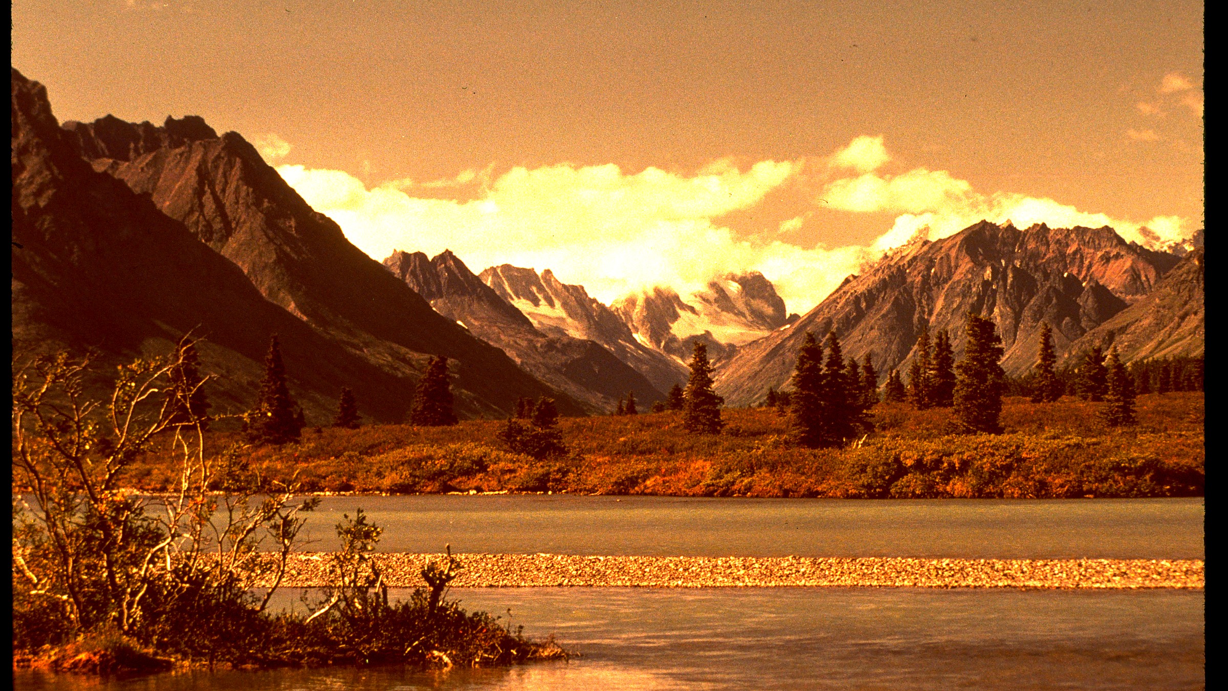 Detail view in Lake Clark National Park