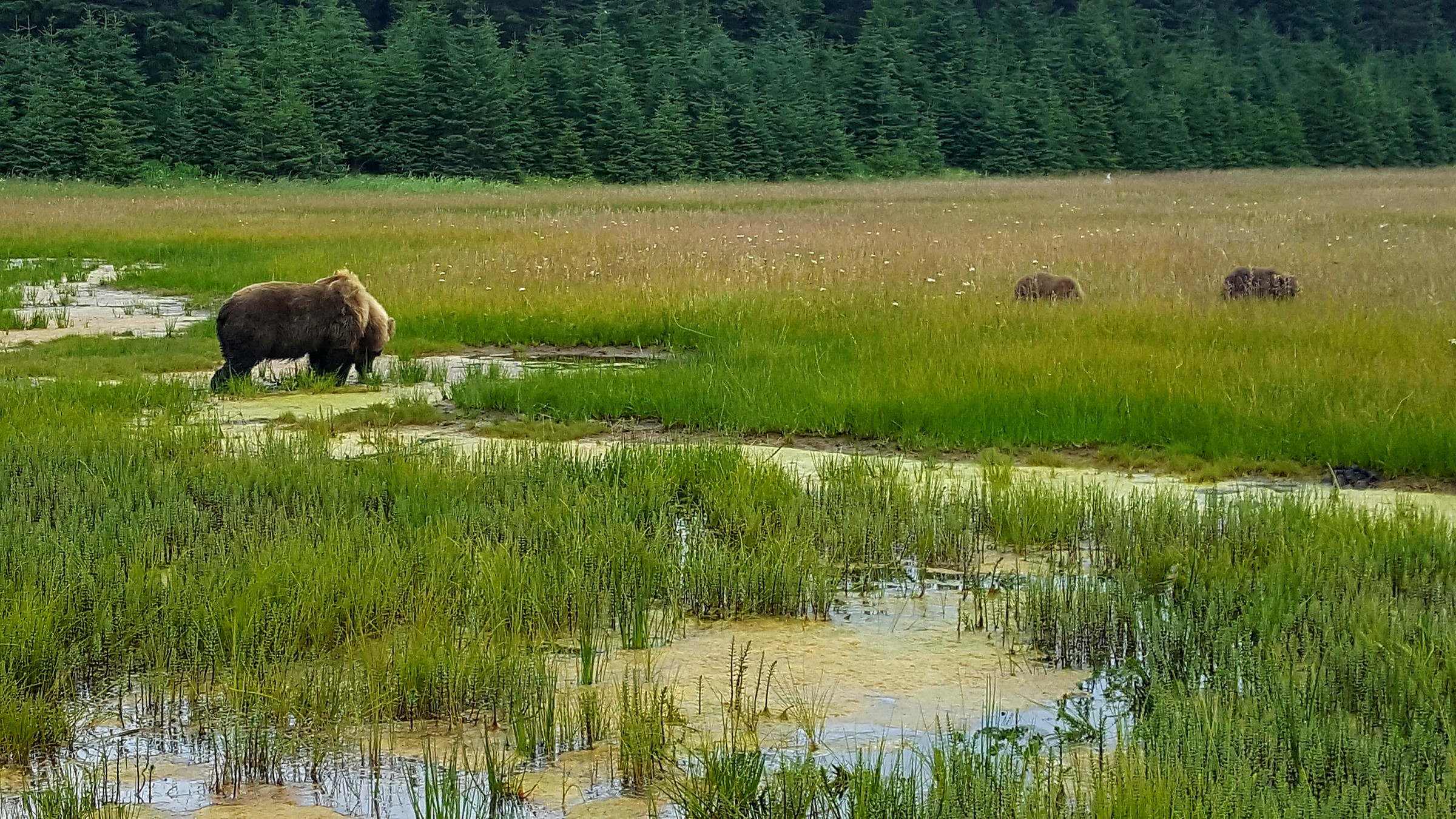 Lake Clark National Park landscape