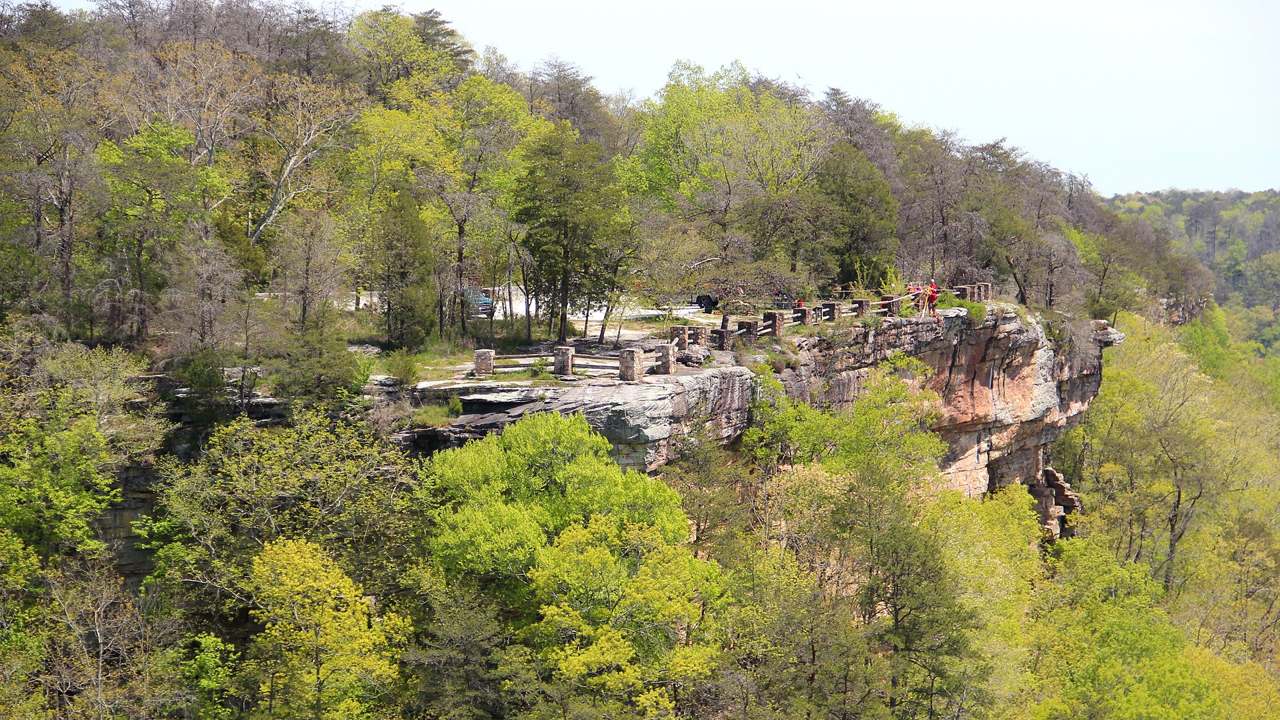 Forest and gorge edge