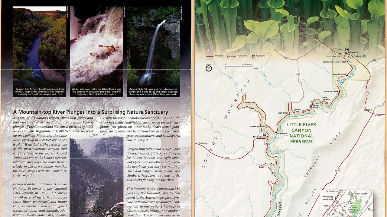 Little River Canyon National Preserve landscape