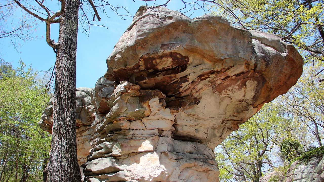 Visitor timing context at Little River Canyon National Preserve