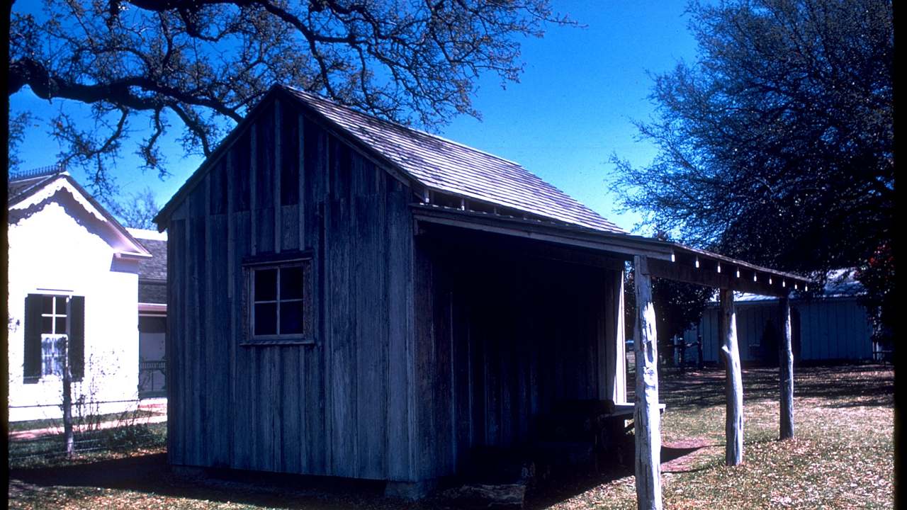 Hill Country ranch oaks
