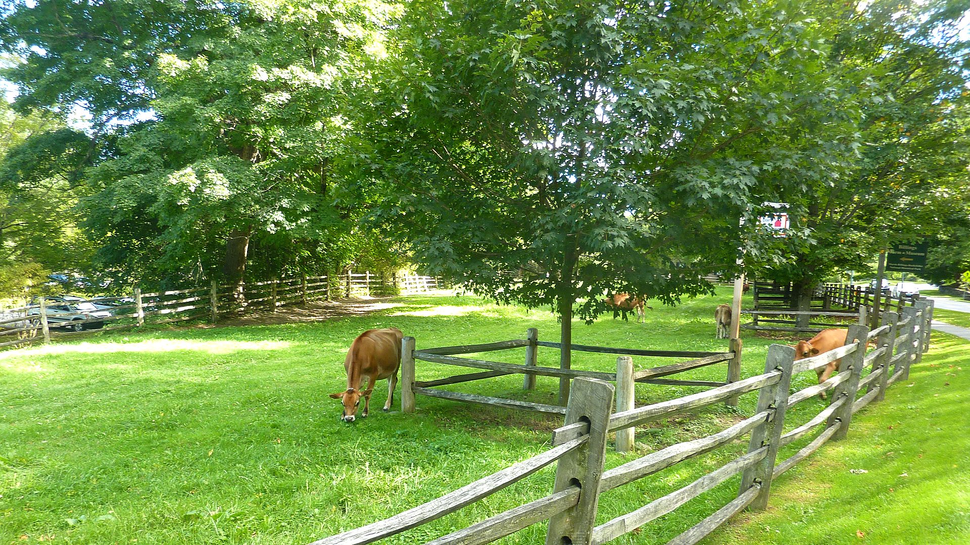 Marsh-Billings-Rockefeller National Historical Park landscape