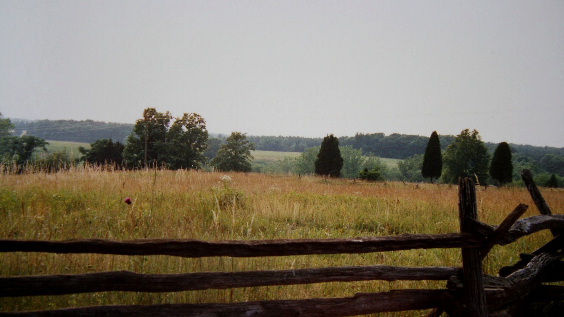Henry Hill artillery line