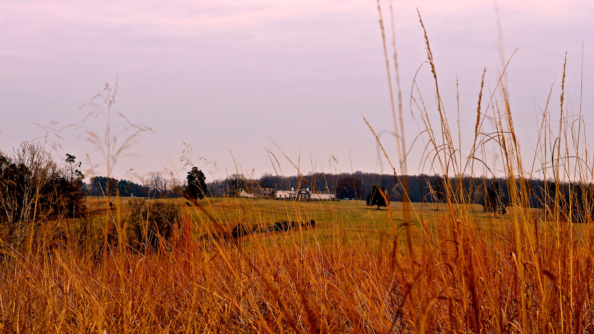 Manassas National Battlefield Park landscape