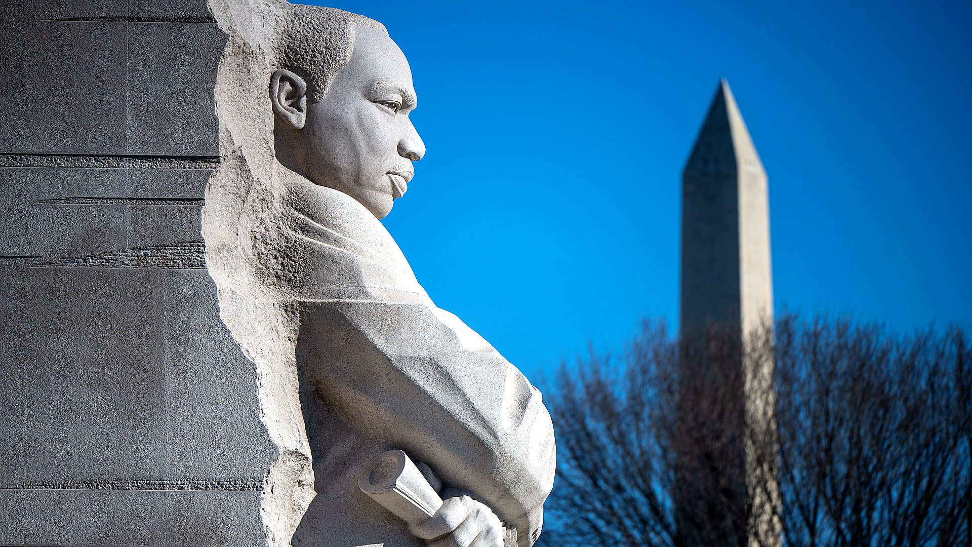 Martin Luther King, Jr. Memorial primary landscape