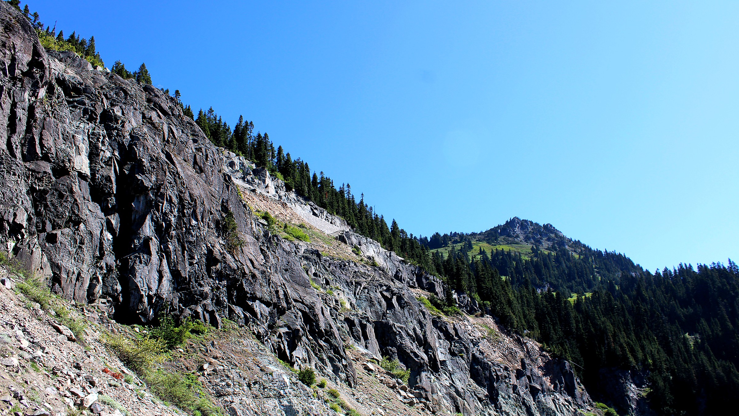 Glaciated volcano above subalpine meadows at Mount Rainier National Park