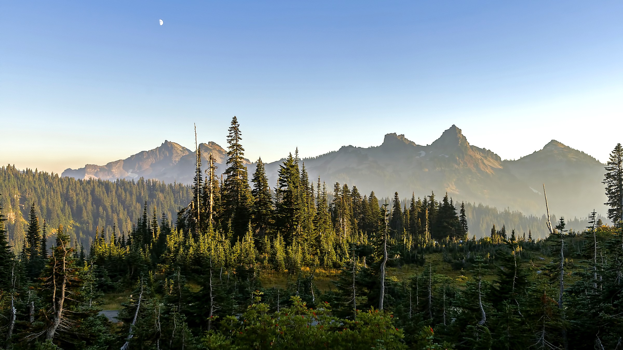 Paradise in Mount Rainier National Park
