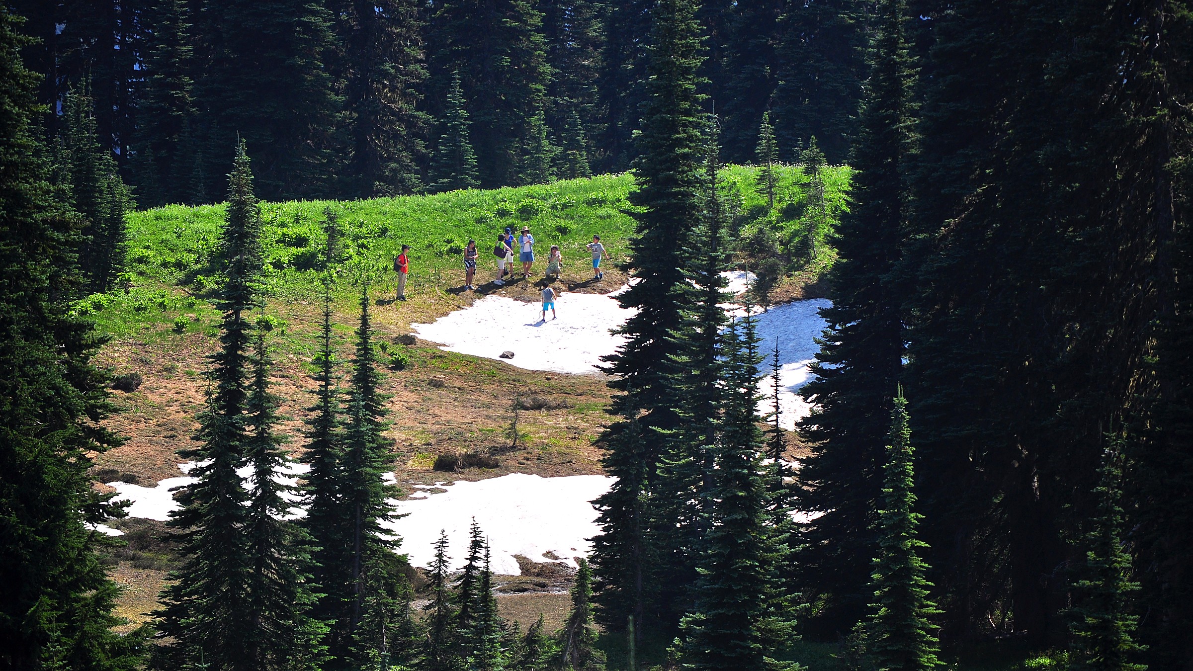 Trail and landscape conditions in Mount Rainier National Park