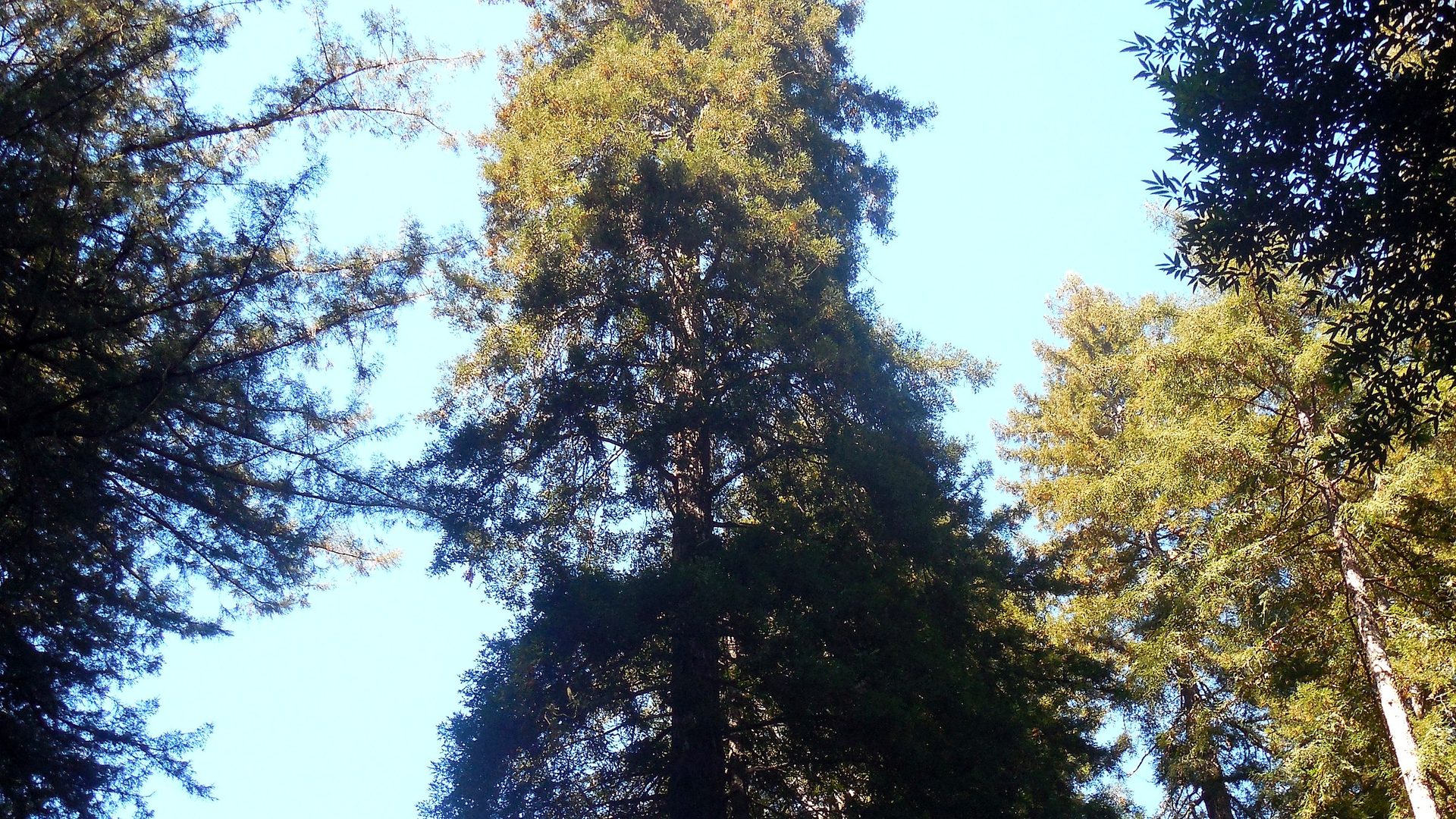 Wider setting around Muir Woods National Monument