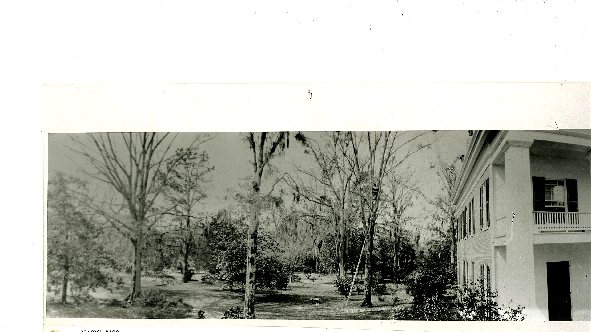 Natchez brick street