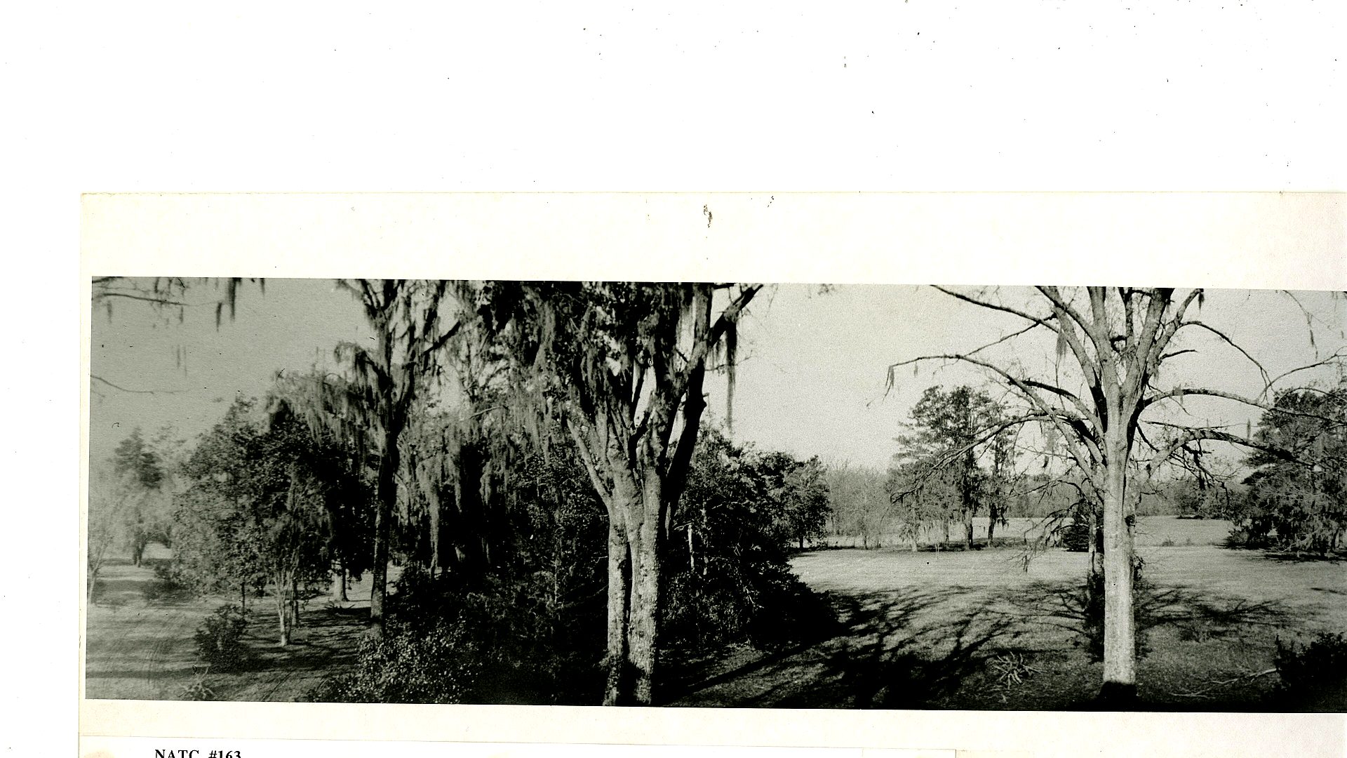 Natchez National Historical Park landscape