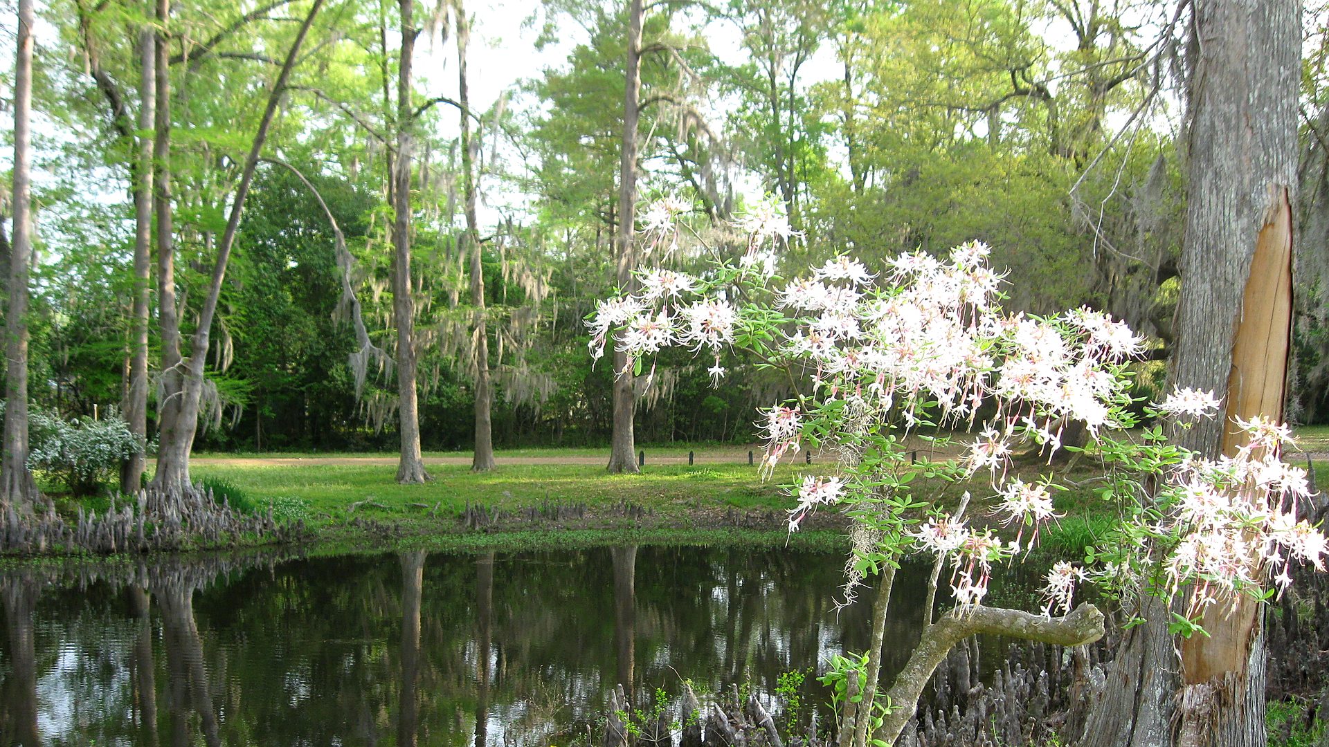 Visitor timing context at Natchez National Historical Park