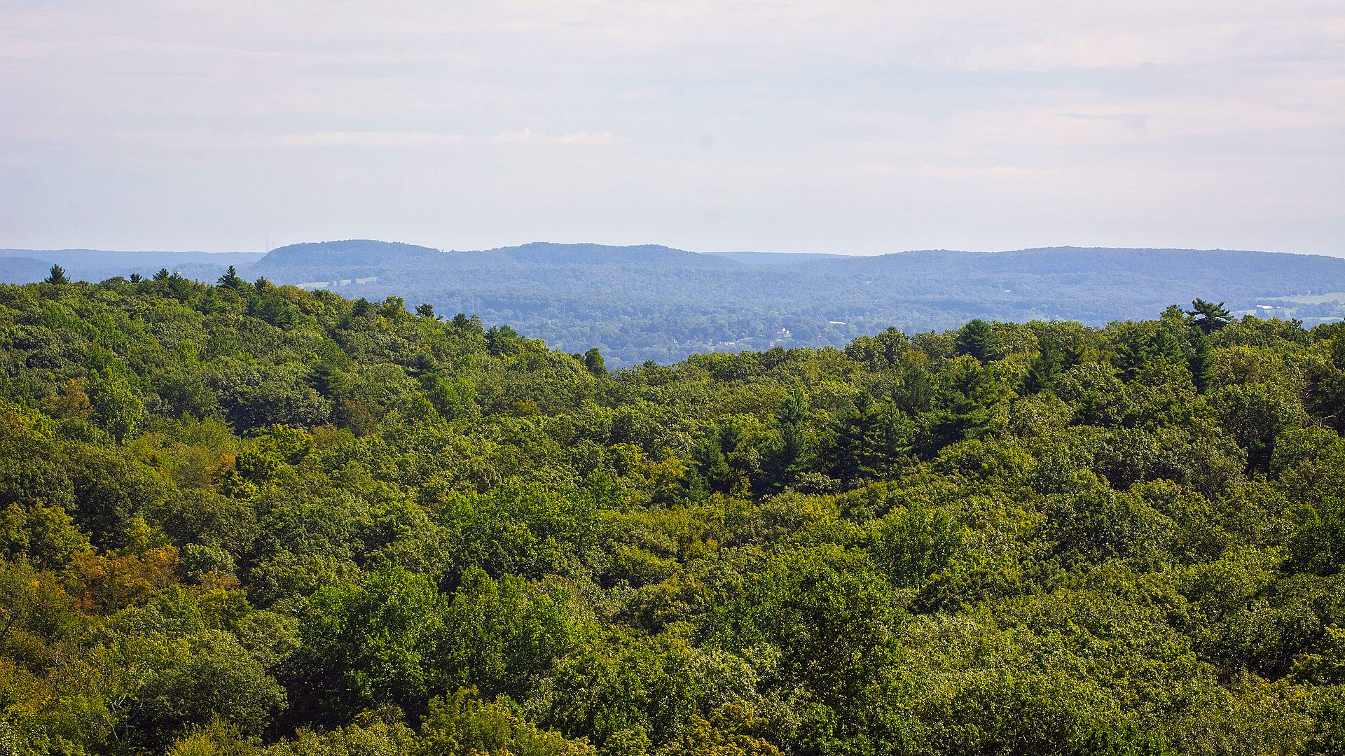 Historic stone wall trail