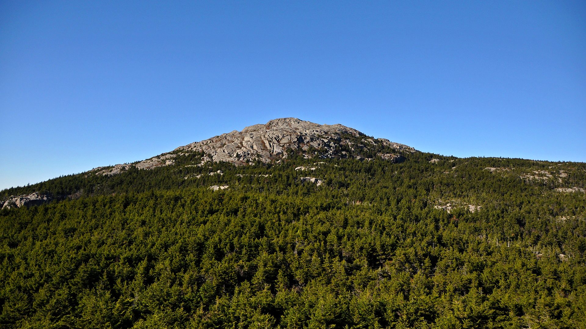 Visitor timing context at New England National Scenic Trail