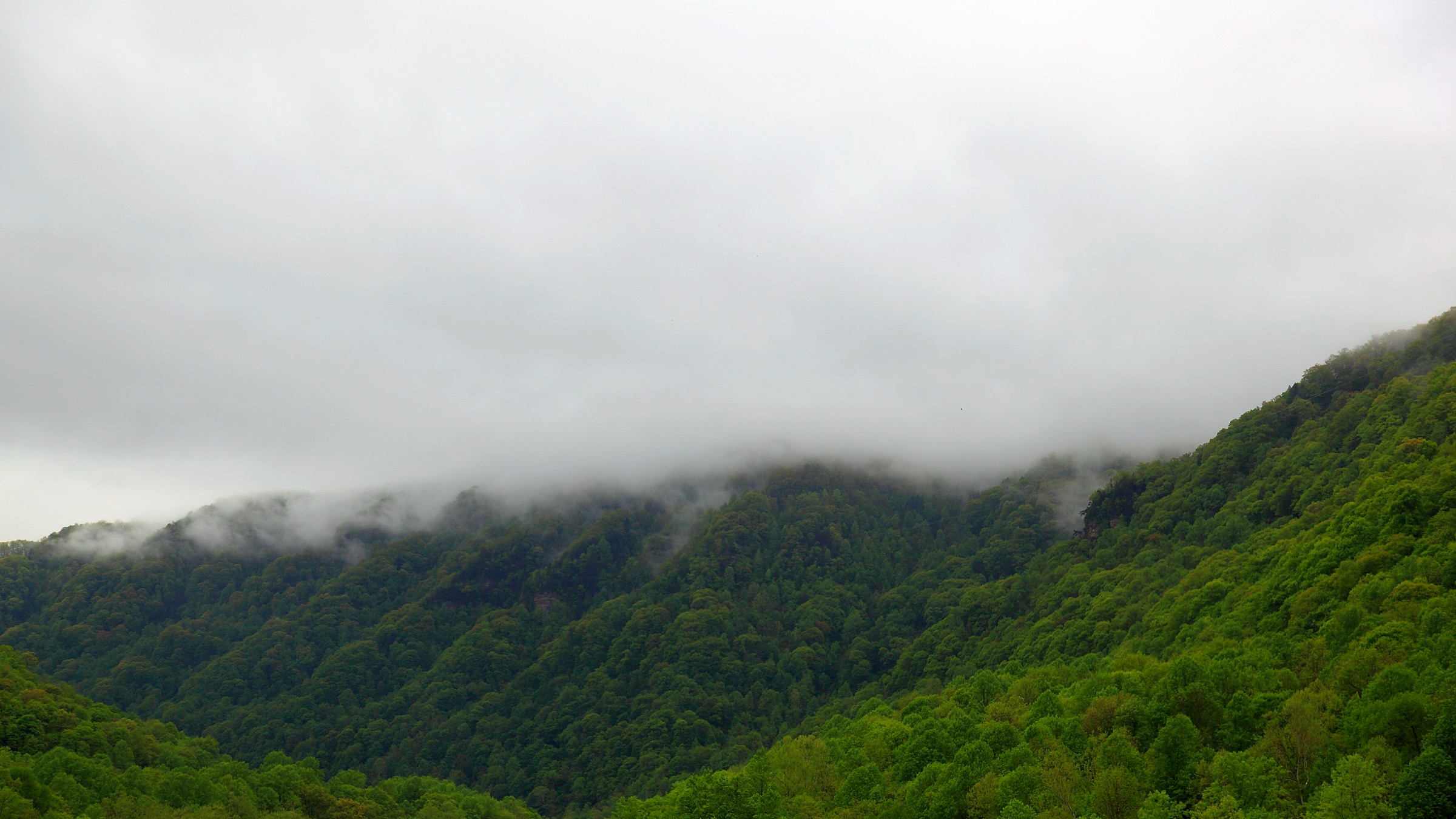 The New River Gorge Bridge over a deep forested canyon at New River Gorge National Park and Preserve