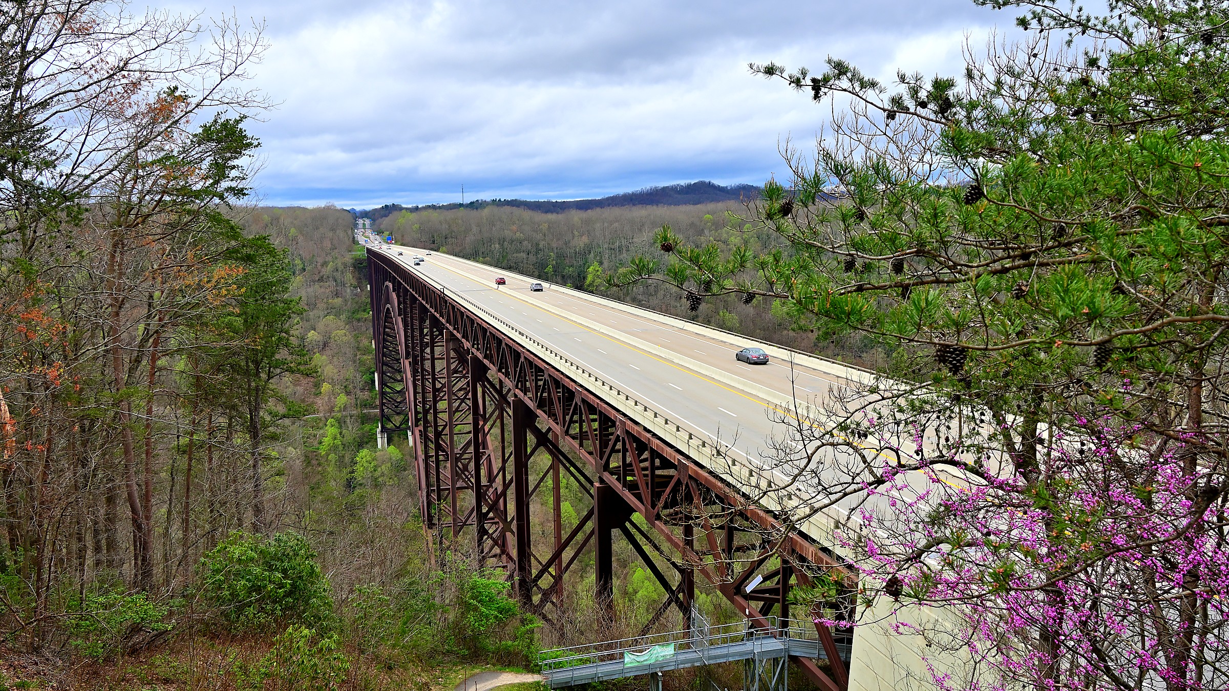Canyon Rim in New River Gorge National Park and Preserve