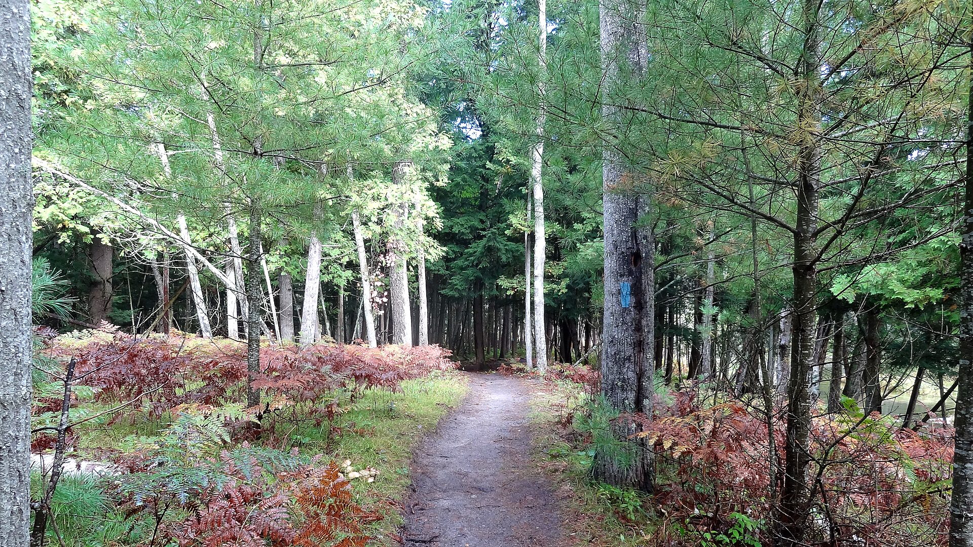Northern lakeshore path